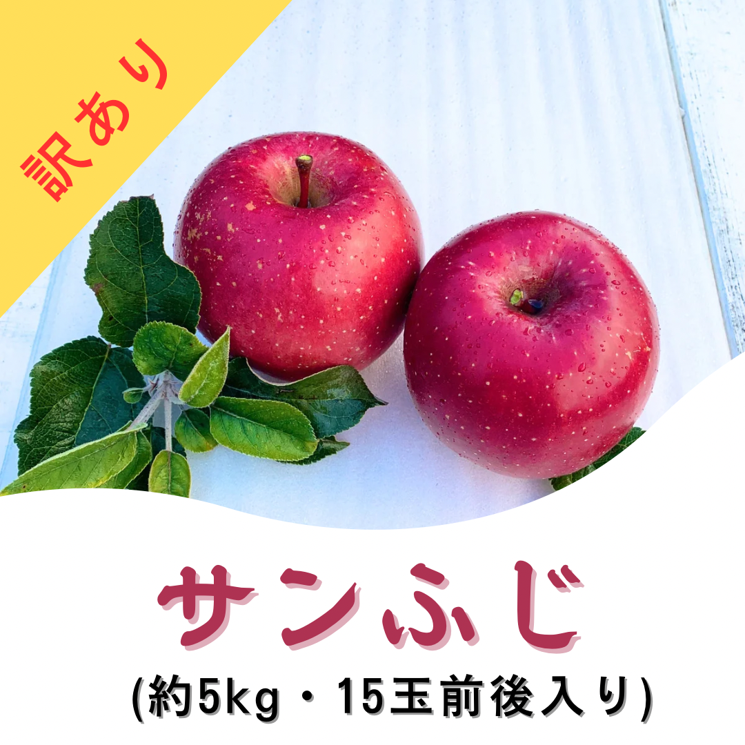 訳あり】サンふじ 約5kg(送料別)：長野県産のふじ｜食べチョク｜産地