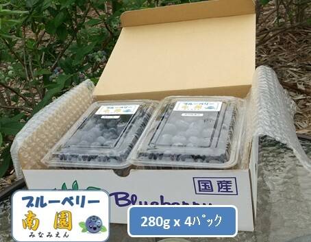 夏ギフト】ブルーベリー生果280g x 4パック『パック毎に品種表示
