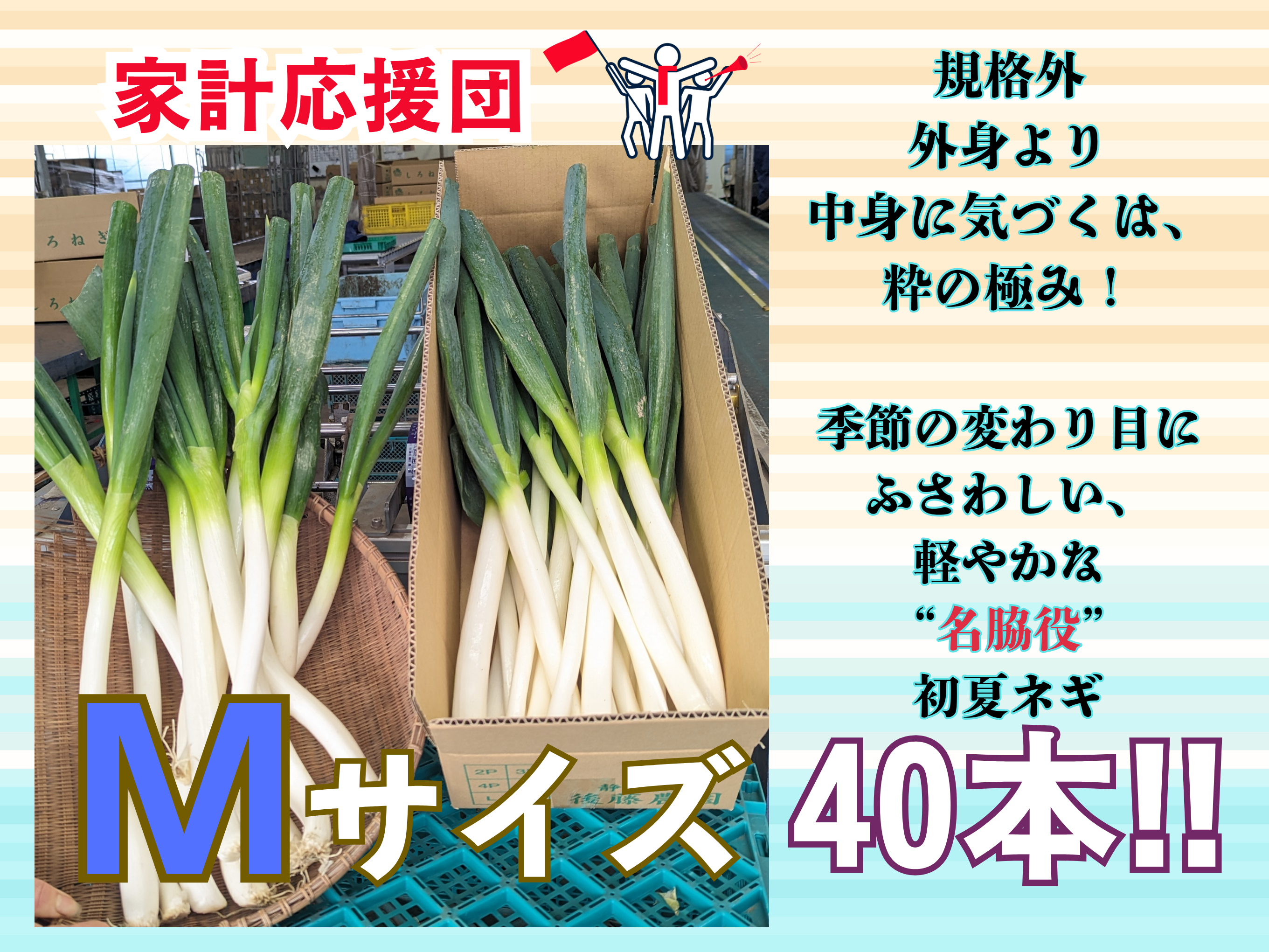 d4456aa9ec9636d89e847ea6c526da