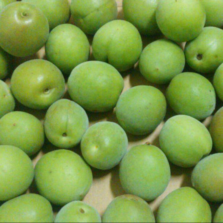 d49503dedbc5c16d01afb367d510d9