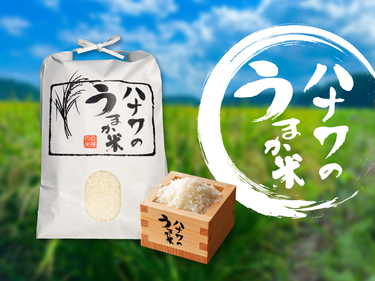 新米 令和5年産 三重県産 コシヒカリ 精米 5kg 5キロ 2023年産 - 米