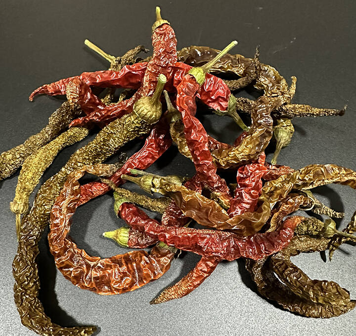 乾燥唐辛子】初心者お勧めの辛さ！魔女の杖（約20g）農薬・化学肥料不