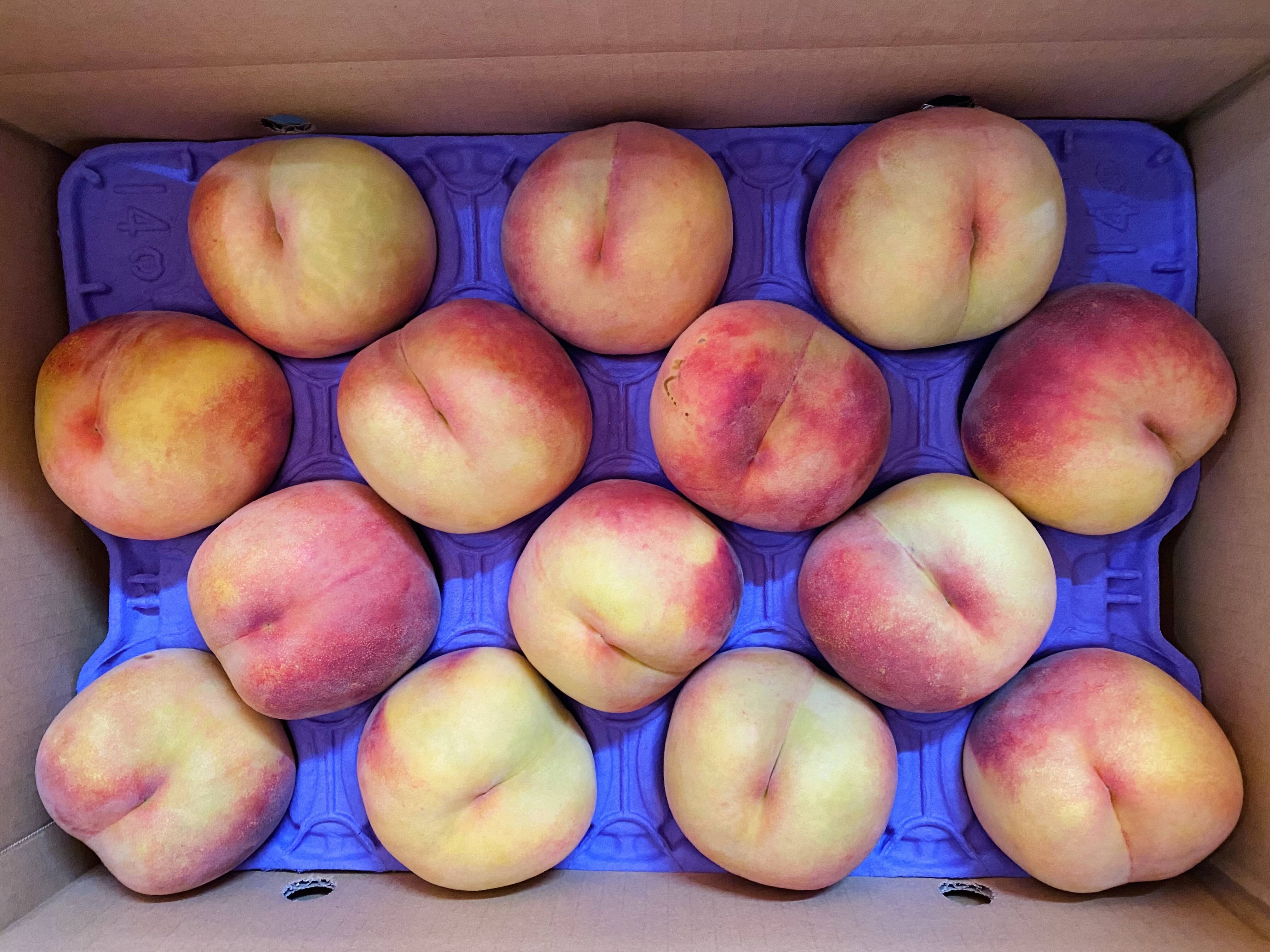 晩夏のギフトに！】果汁たっぷり！関農園の桃『黄金桃』5kg（12～16玉