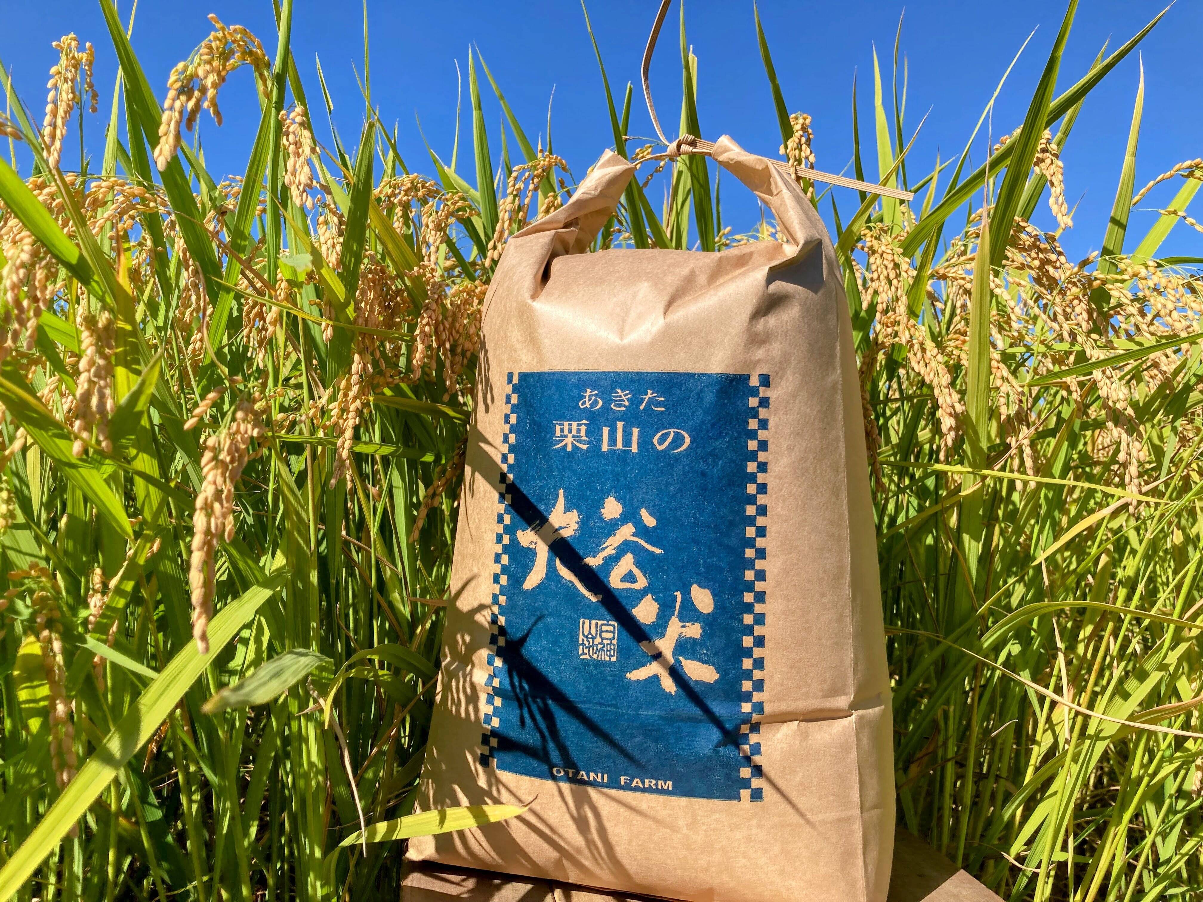 あきたこまち 10kg 農薬不使用 国産玄米 農家直送 単一品種 専用冷蔵庫 あきたこまち 5kg 農薬不使用 国産玄米 農家直送 単一品種 専用冷蔵庫