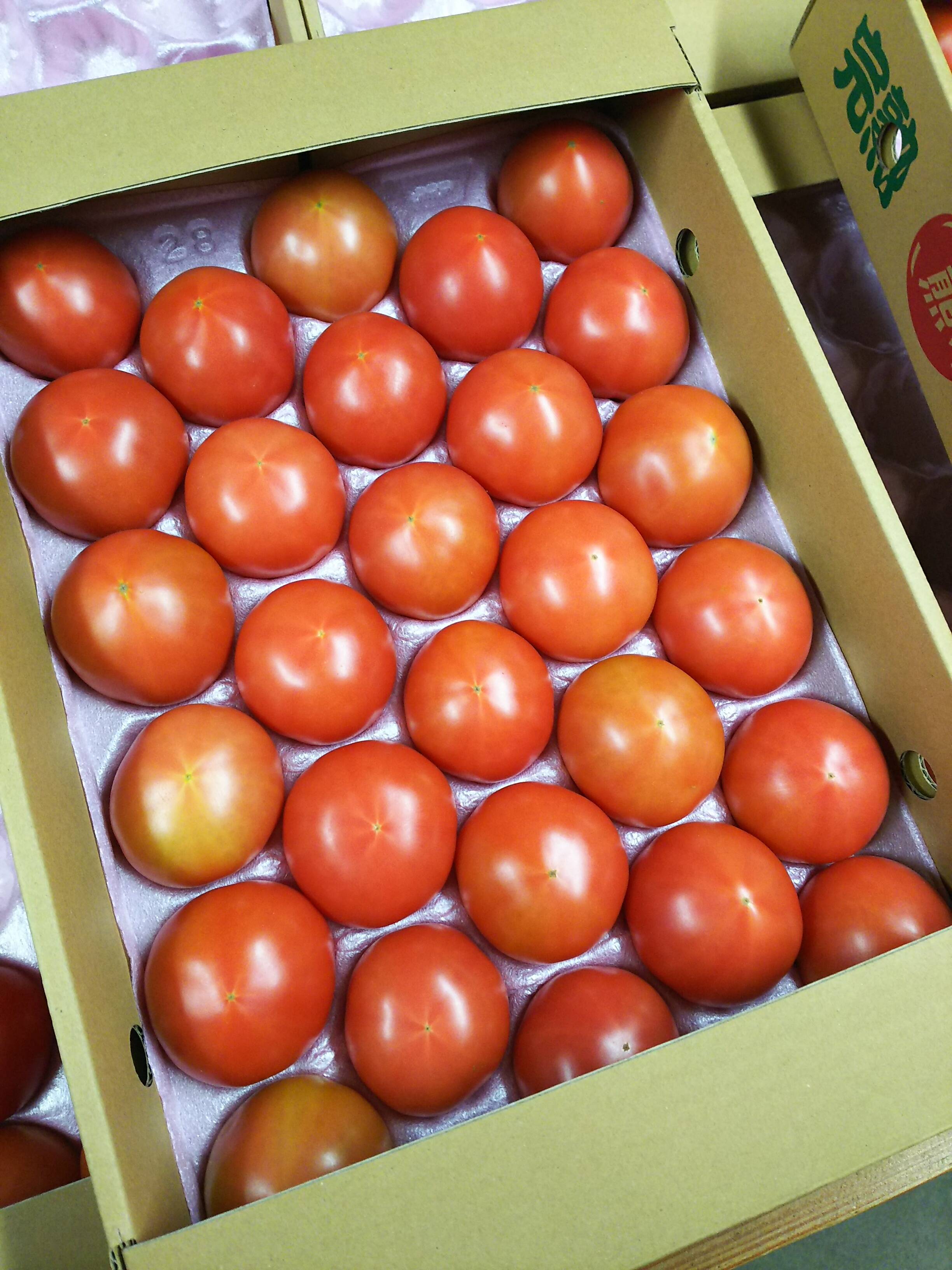 食べ出したら止まらない！大玉トマトSサイズ28玉(約4㎏)：熊本県産の 