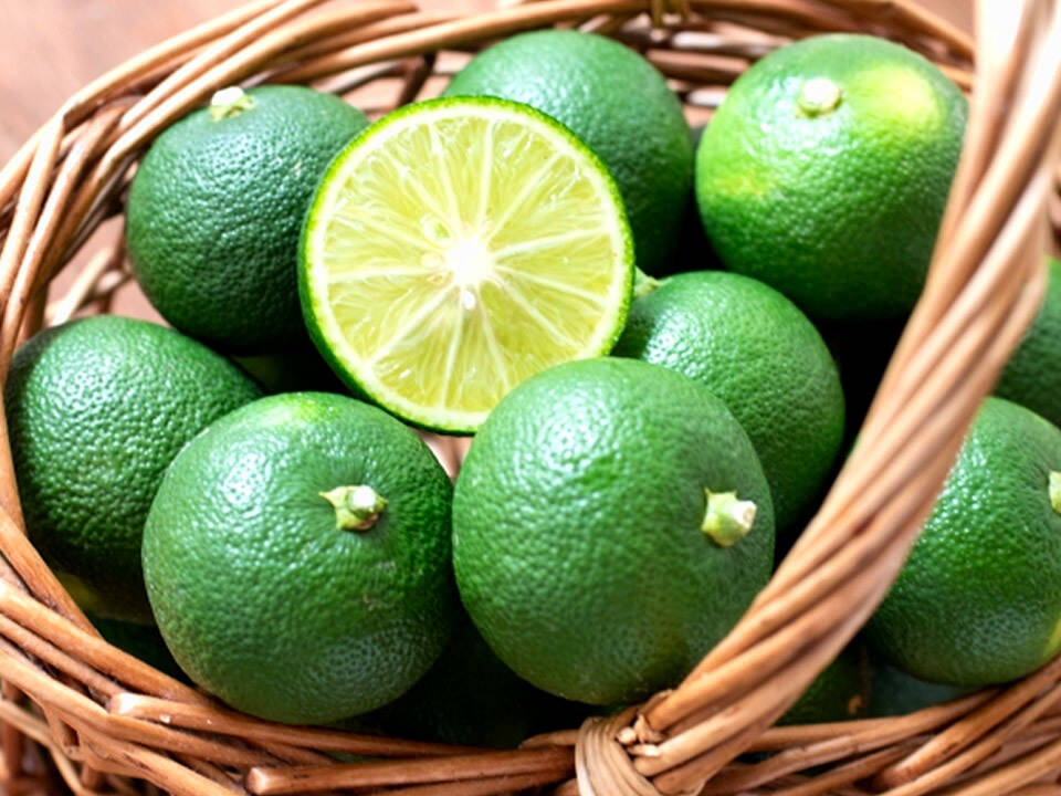 すだち　様 消毒無し！！すだち【無選別】1kg 三重県伊勢志摩産：三重県産のみかん