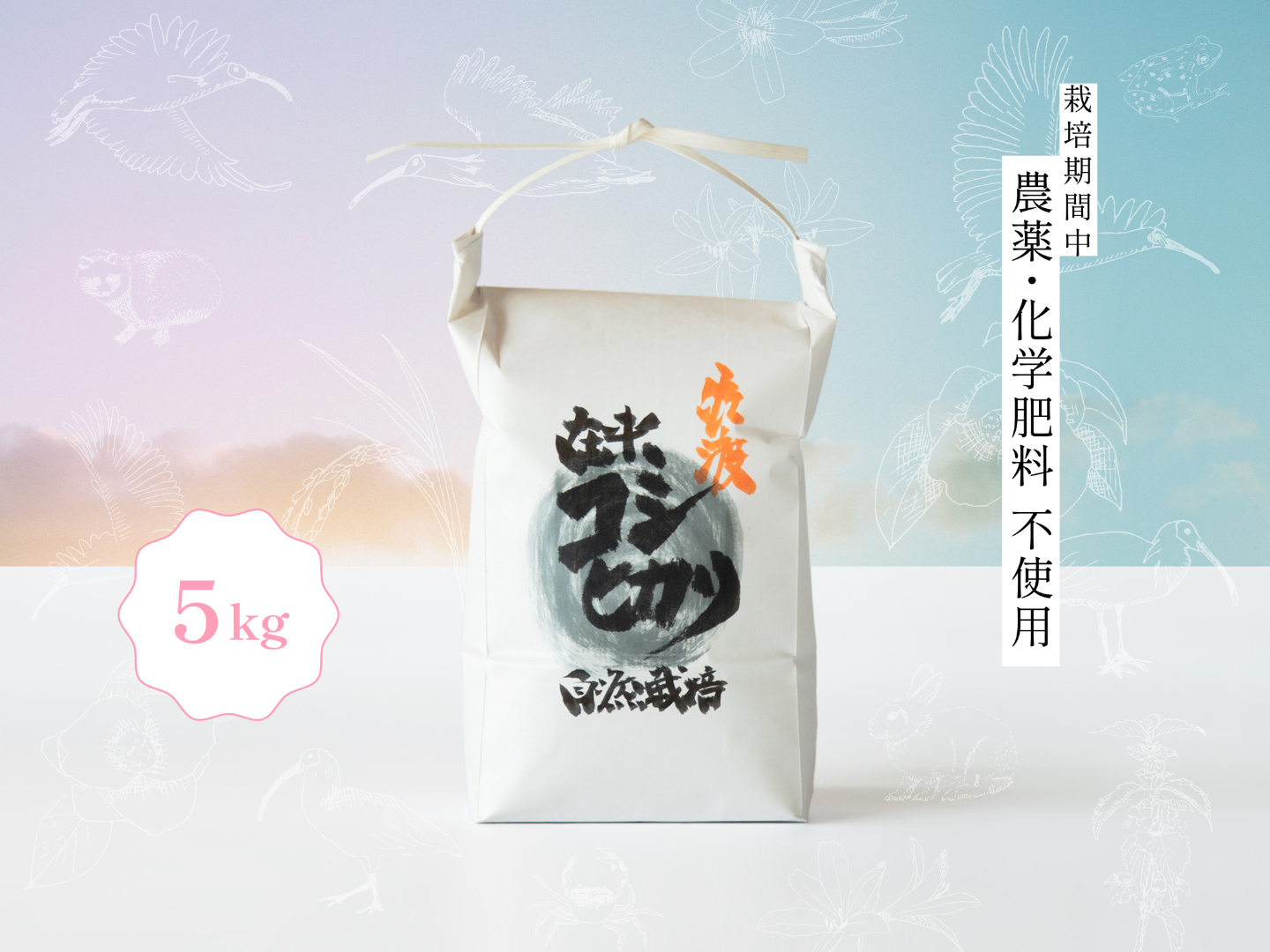 令和7年新米】潮風香る田んぼでトキと育った新潟県佐渡産 自然栽培『在