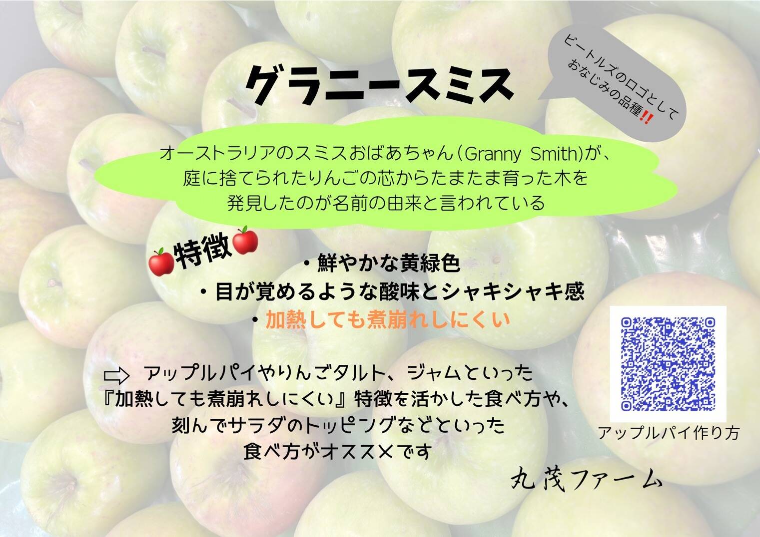 甘くない贅沢！これぞグラニースミス5㎏（13～18玉）：長野県産の