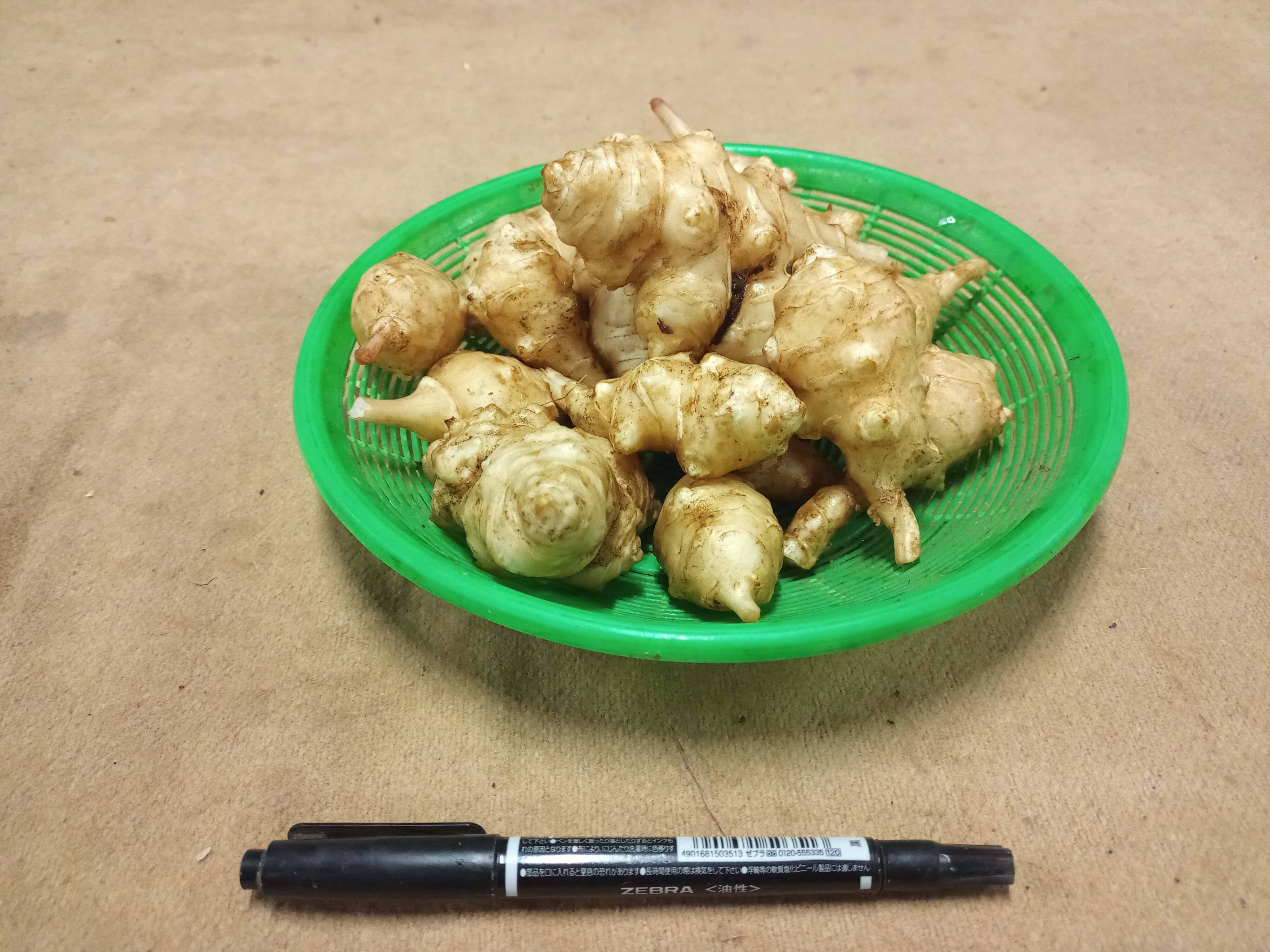 話題のスーパーフード!!】 菊芋 1kg (250gx4p)：千葉県産の品種