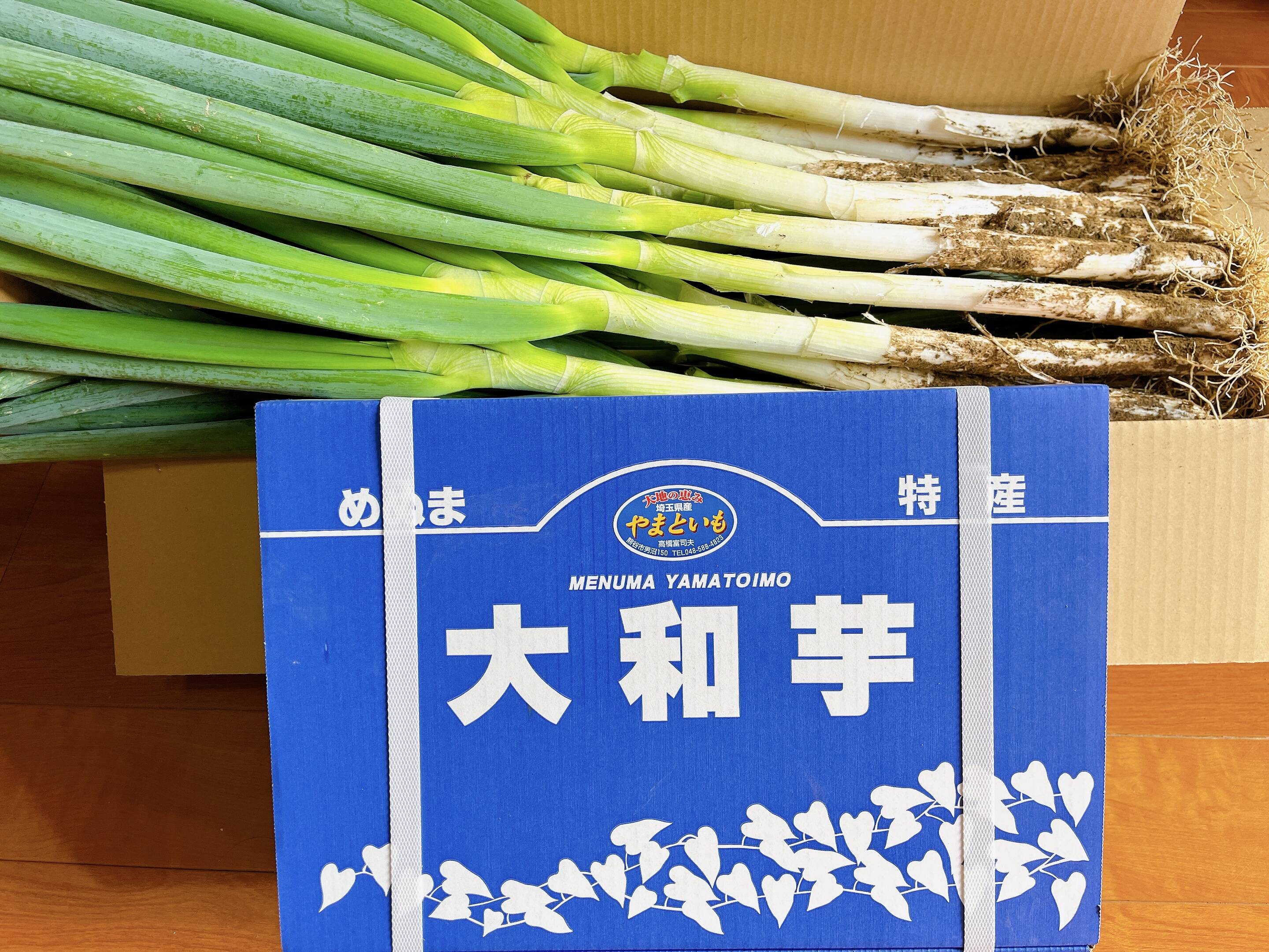 野菜セット、ネギ6Kg、大和芋4Kg：埼玉県産の野菜セット｜食べチョク