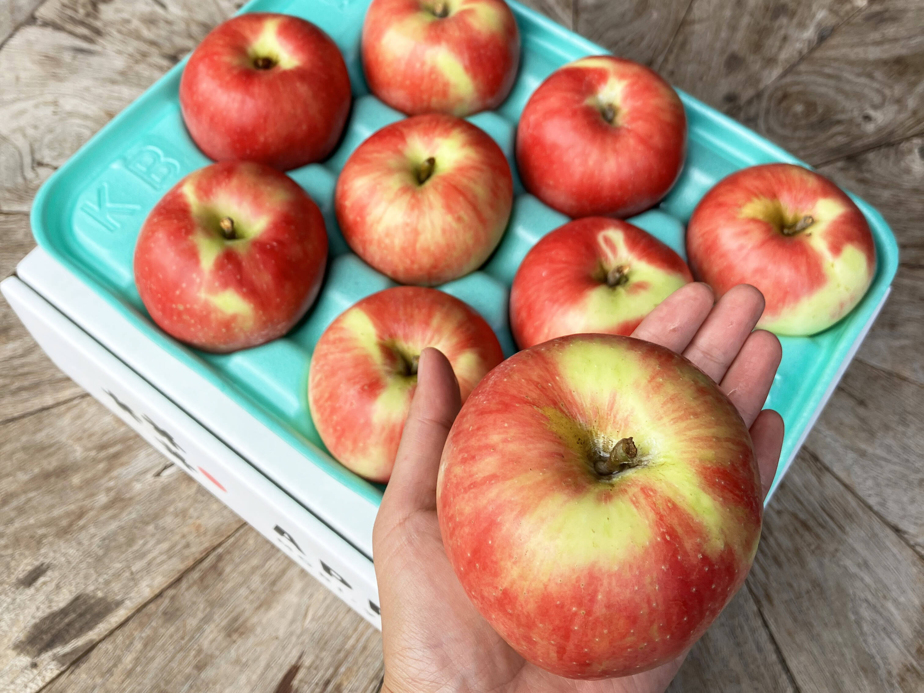 完売御礼🚚酸っぱいりんご好きさん必見！🍎彩香🍎3kg 皮ごとおいしい