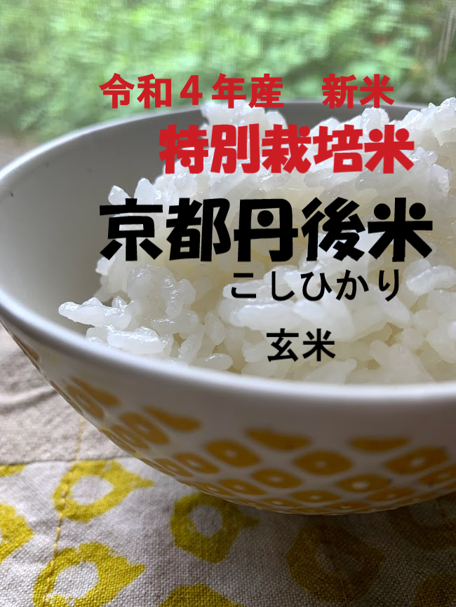 令和5年 兵庫県丹波産 農薬、除草剤不使用 新米コシヒカリ10キロ