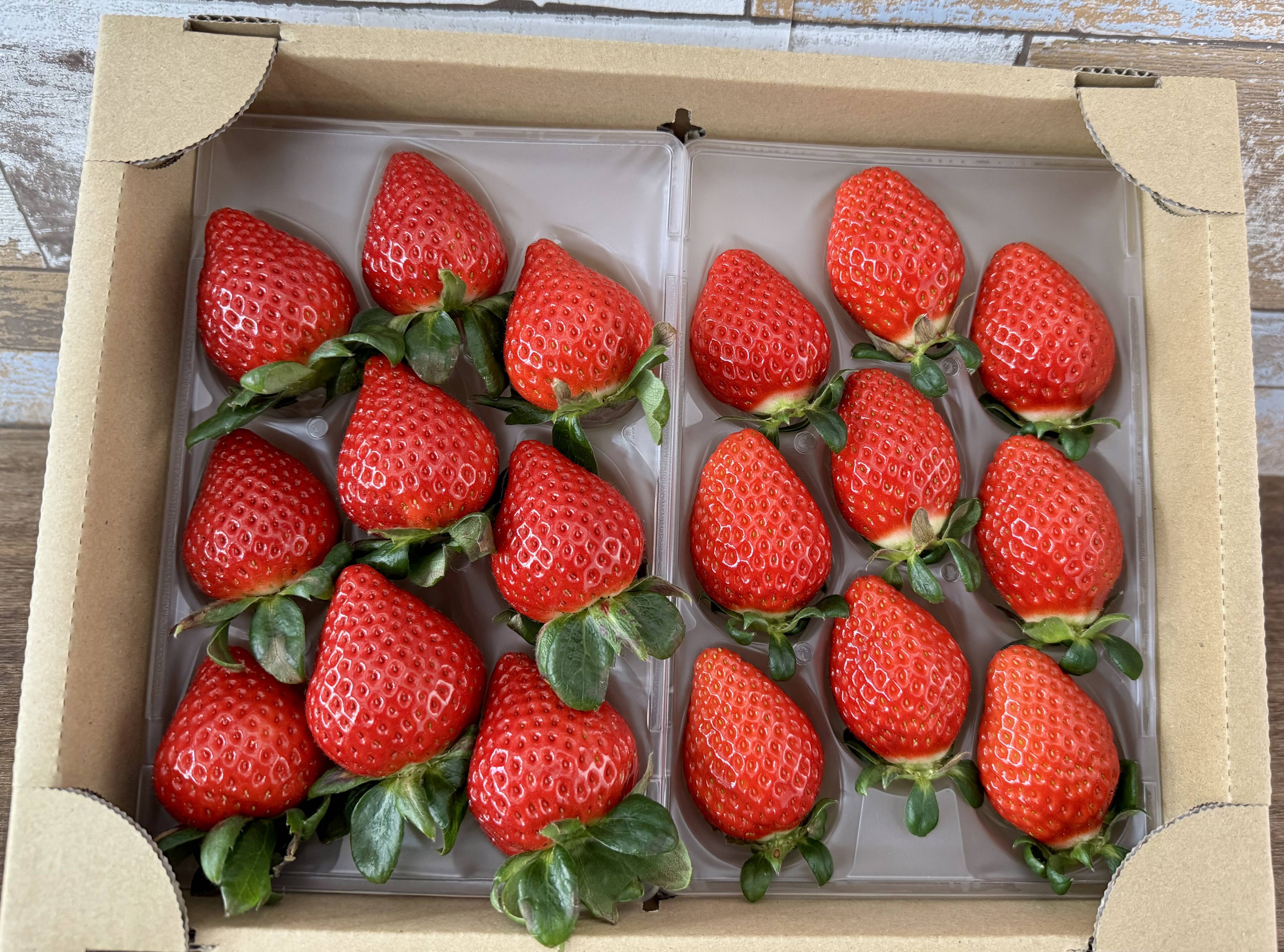 🎉第4回全国いちご選手権入賞🎉 プレミアムいちごの食べ比べセット