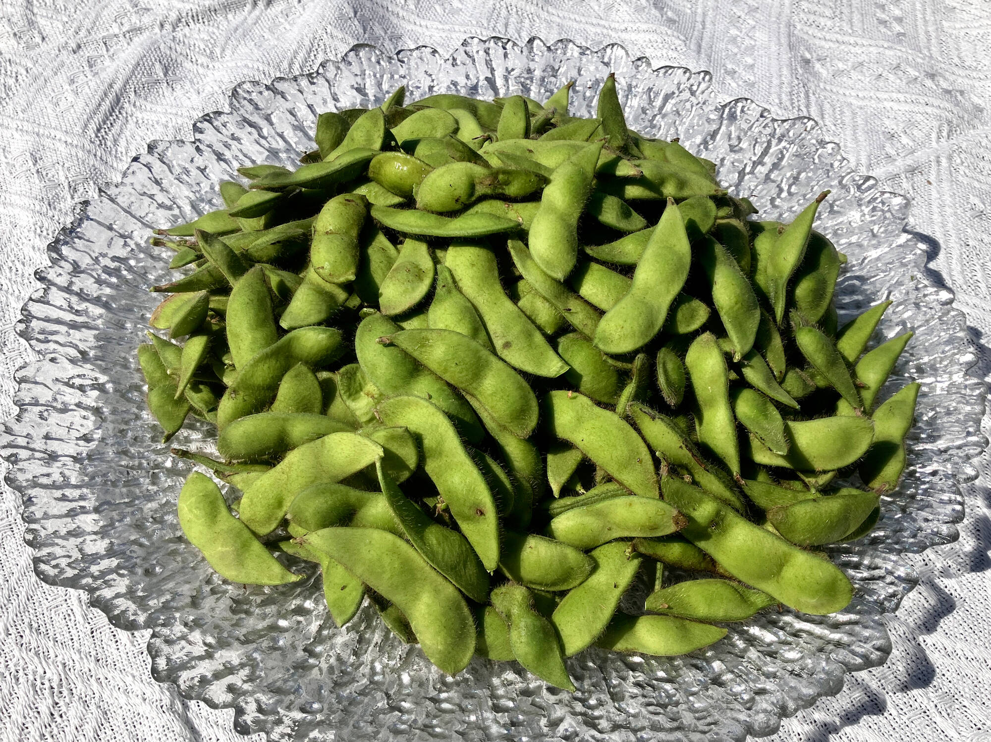 茶豆ページです 極上の甘みと豊かな風味！枝豆（茶豆）700g ｜今季二代目！なくなり