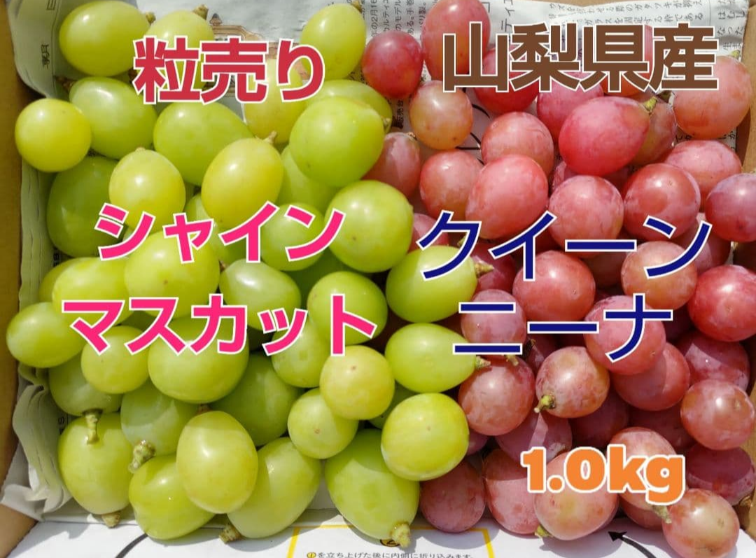 🍇【山梨県笛吹市産】【粒売り】シャインマスカット＆クイーンニーナ
