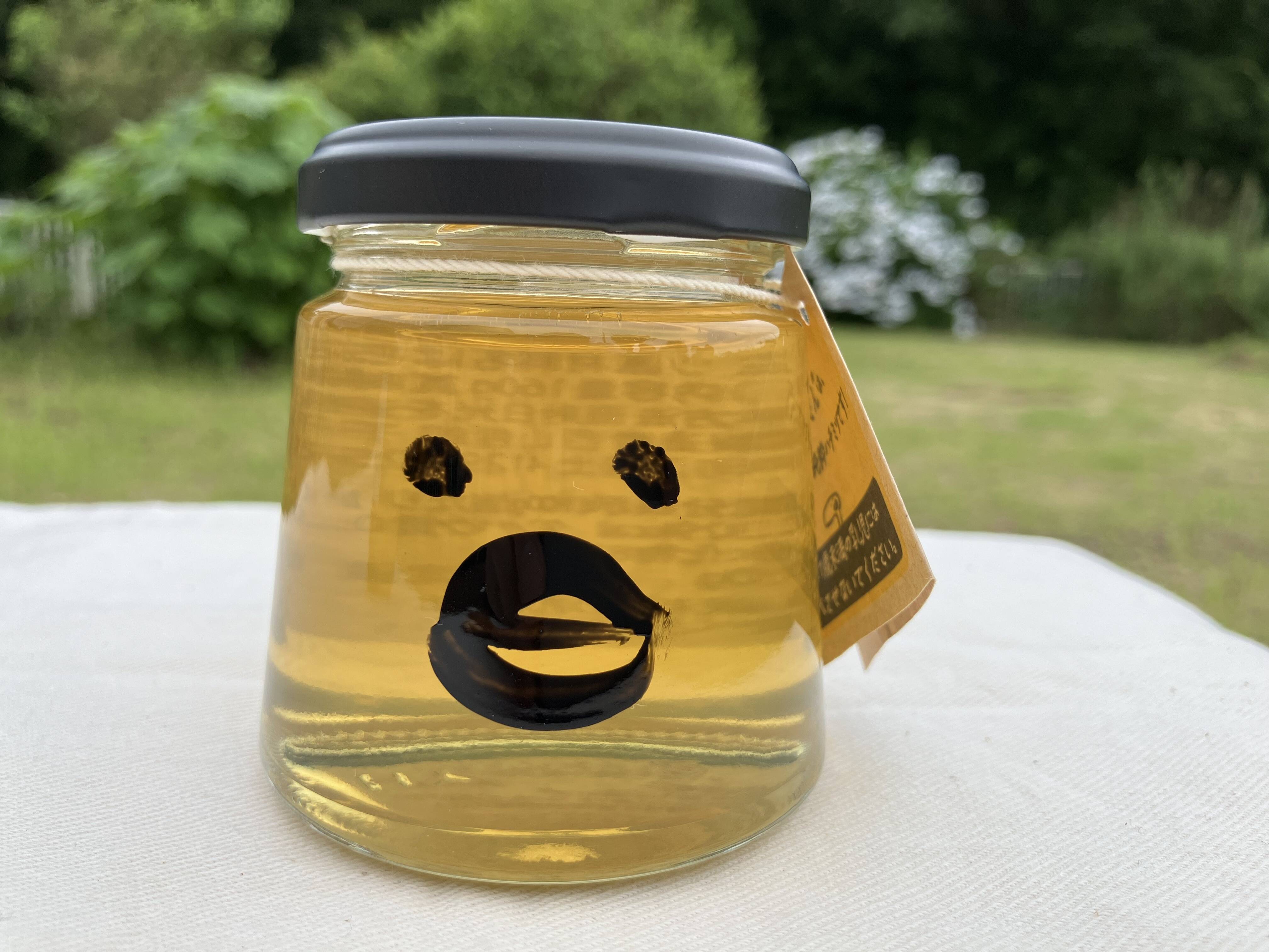 Honeyさん 専用 rocoさん専用 センペルビウムセット⑥ 多肉植物