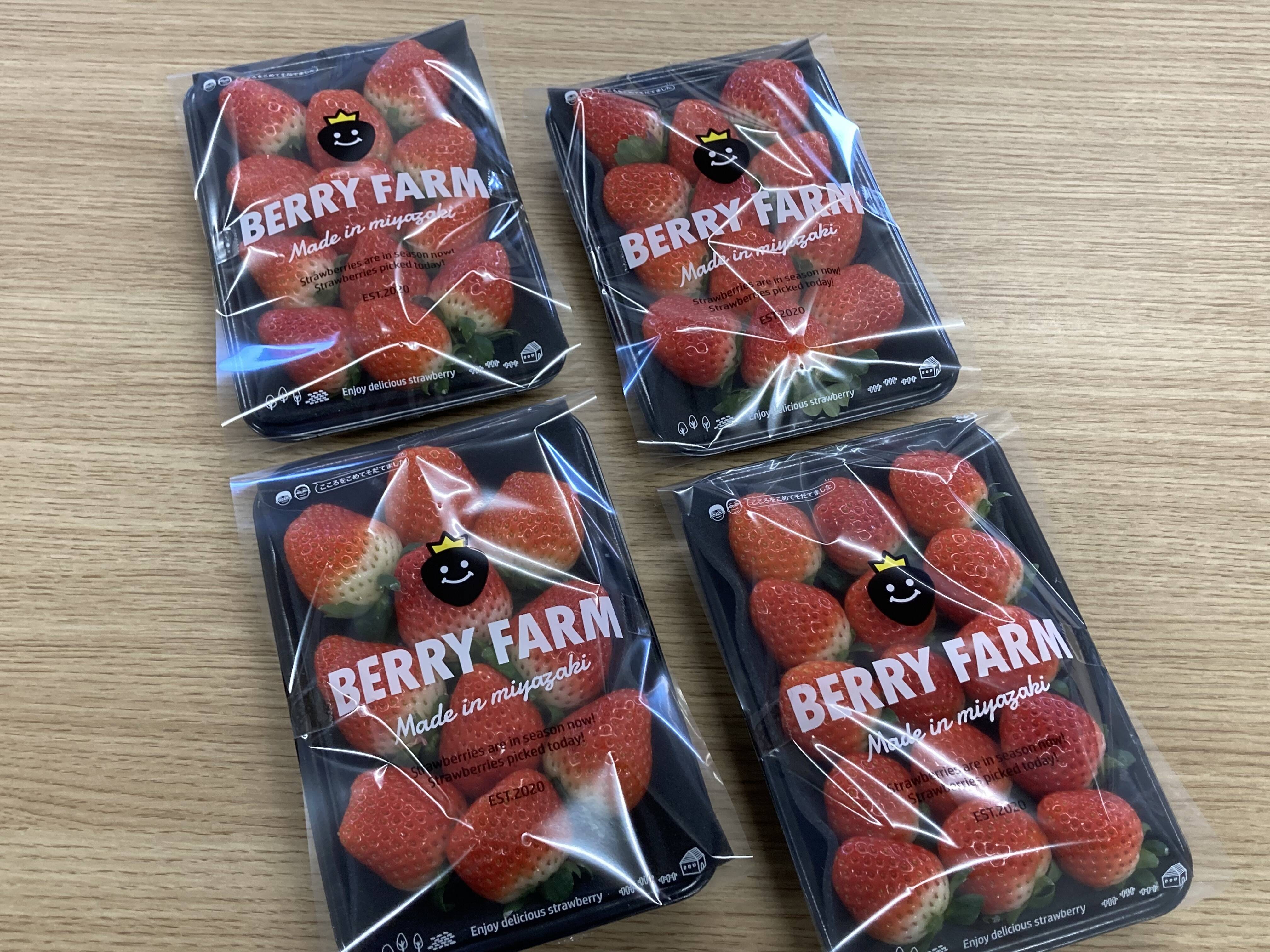 香り豊か！有機いちご「あまおとめ」1kg：宮崎県産のあまおとめ｜食べ