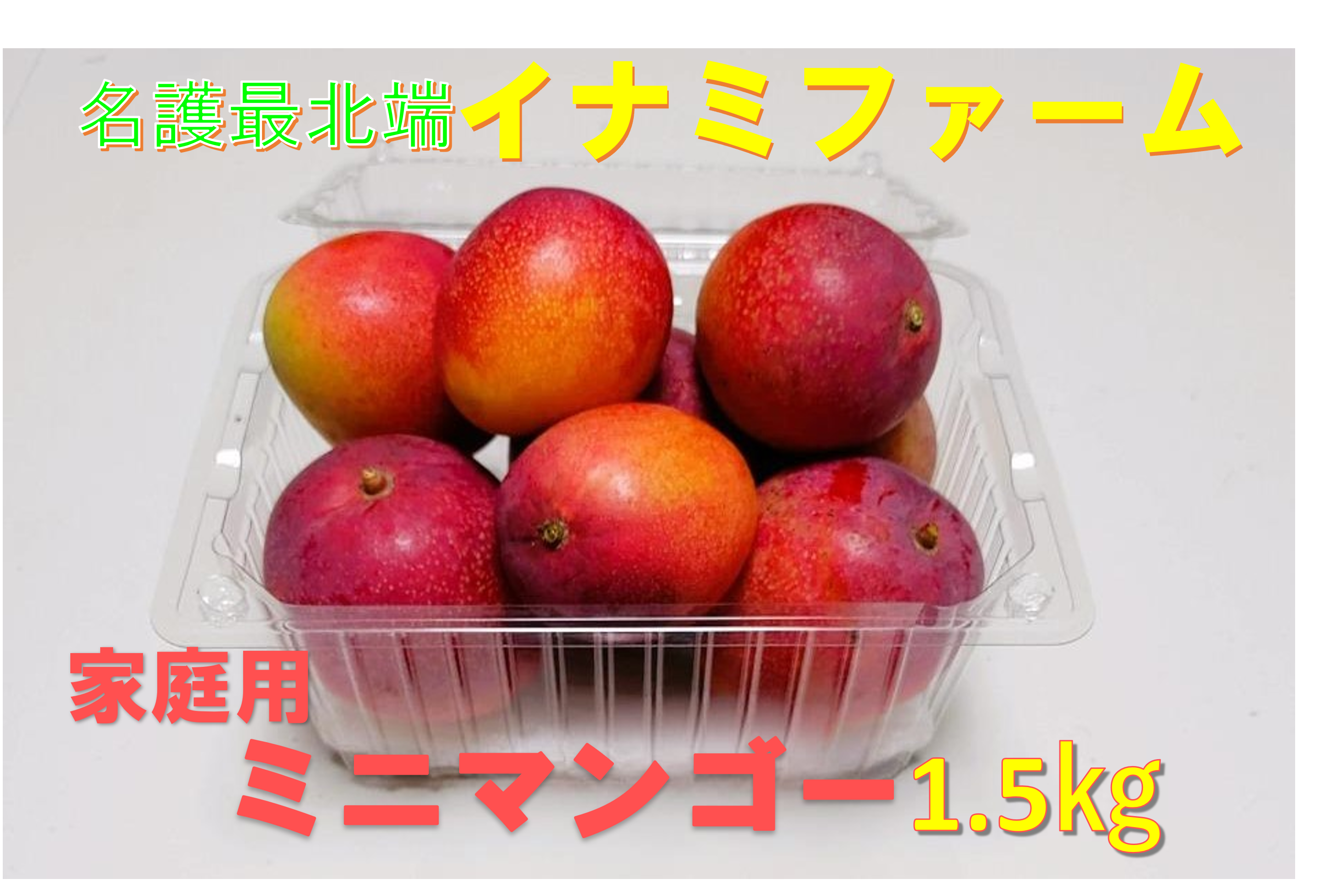 【10%off】沖縄県産 ミニマンゴーＢ品 約９kg【常温便】① 10%off】沖縄県産 ミニマンゴーB品 約1.5kg【常温便】② - メルカリ