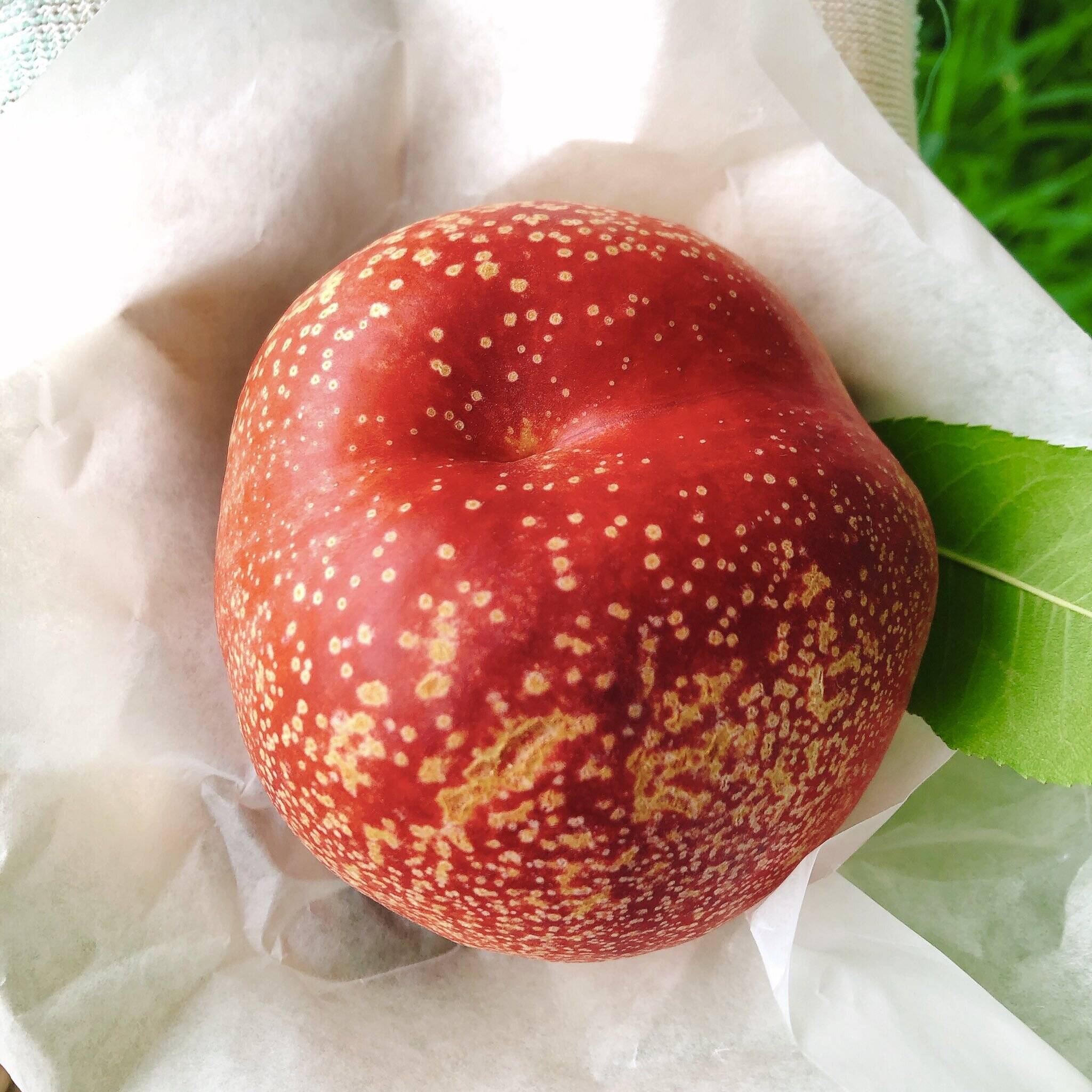 新鮮 ハネージュ ネクタリン 5kg 極甘！とれたてネク桃・ハネージュA品（約3㎏）：岩手県産のハネージュ