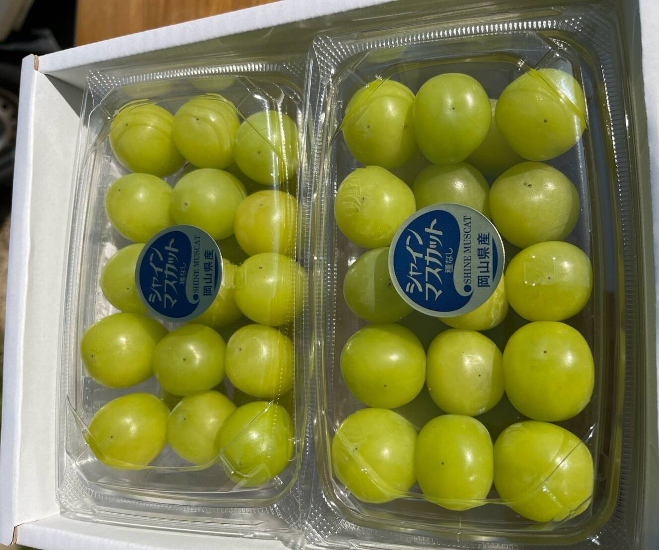 数量限定《訳あり》家庭用 岡山県産シャインマスカット 粒詰め合わせ約 数量限定《訳あり》家庭用 岡山県産シャインマスカット 粒詰め合わせ約