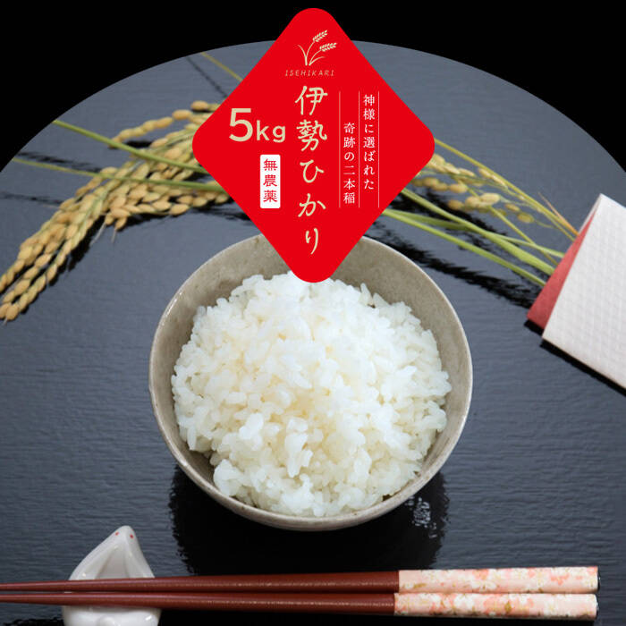 人気が高玄米２０kg！完全自然栽培美味しいお米!令和４年度!佐賀県産「伊勢ヒカリ」 米・雑穀・粉類