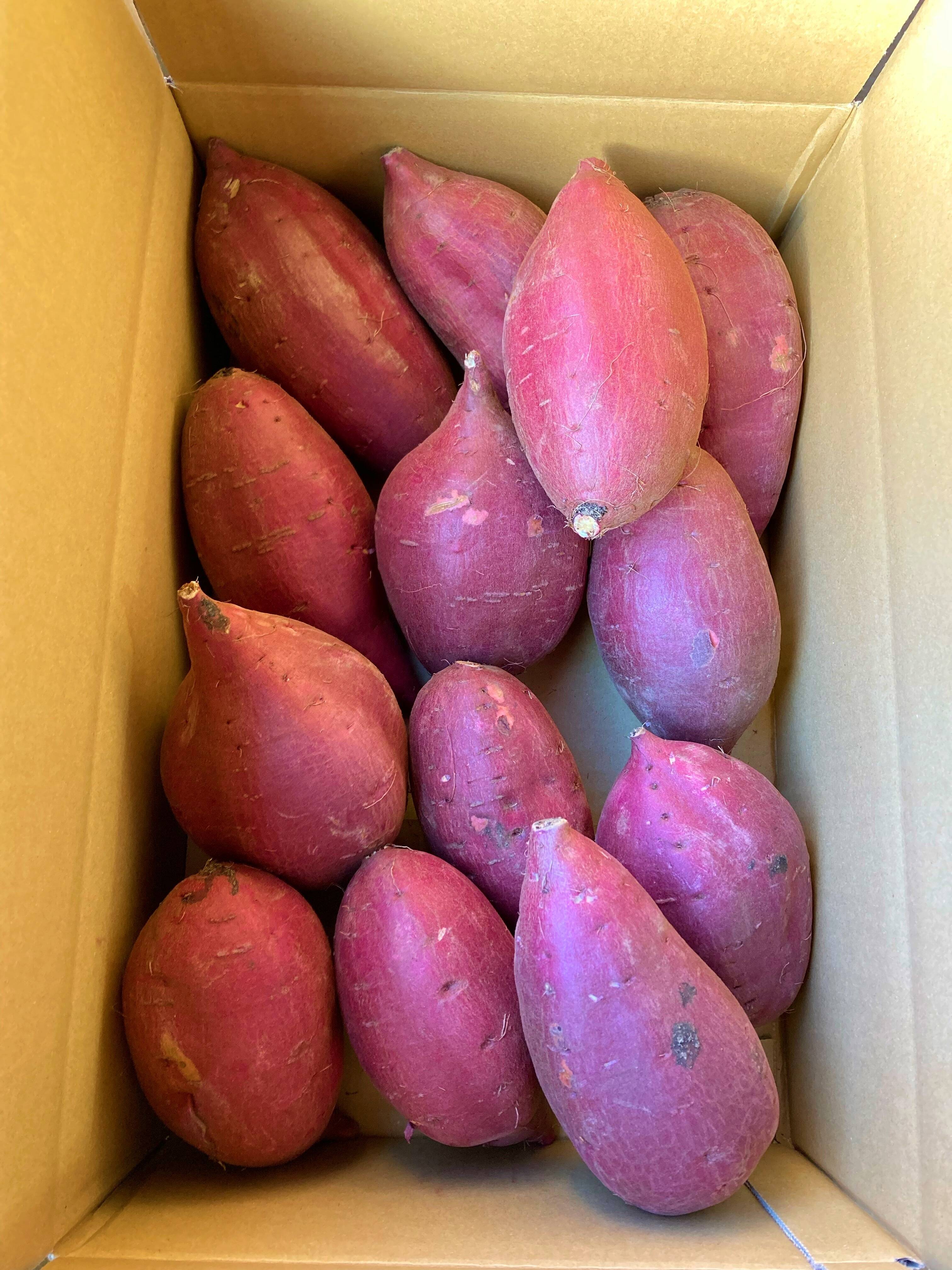 新芋】シルクスイート 丸Lサイズ 20kg さつまいも：茨城県産の