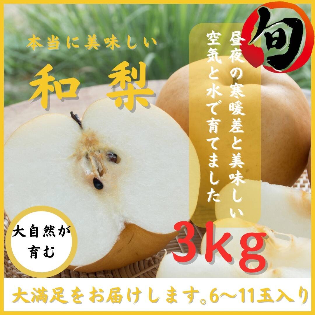 梨 【当日/翌日発送】 豊水 贈答 記念日 3kg 人気 果物 フルーツ 敬老の日 誕生日 記念日 スティック梨 家庭用：秋田県産の豊水｜食べチョク｜産地直送(産直)お取り寄せ通販  - 農家・漁師から旬の食材を直送