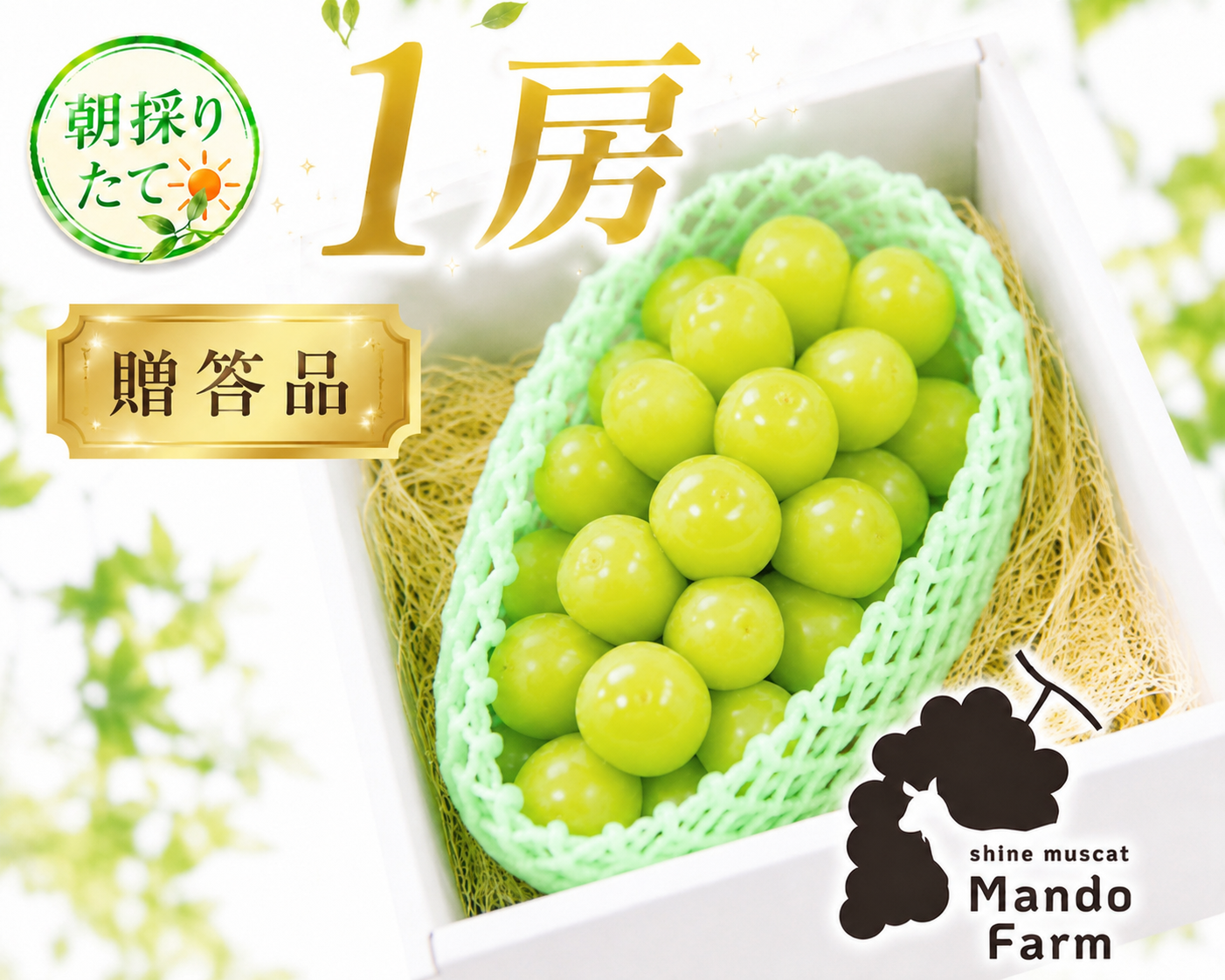 先行予約】【 贈答用 】朝採れ パリッと食感の高糖度タネ無しシャイン
