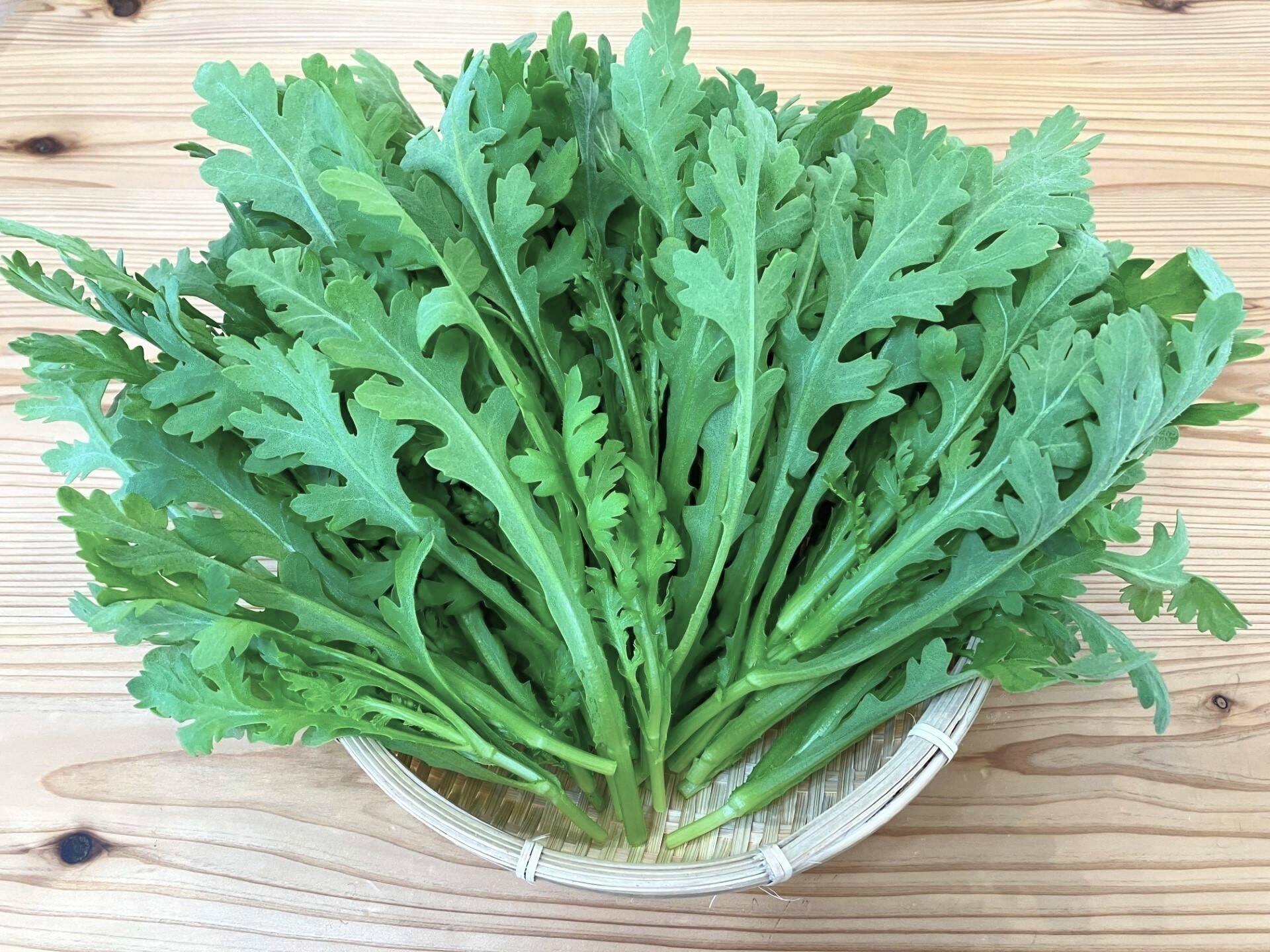 有機JAS認証】早採り春菊 600g(100g×6パック)：佐賀県産のその他春菊