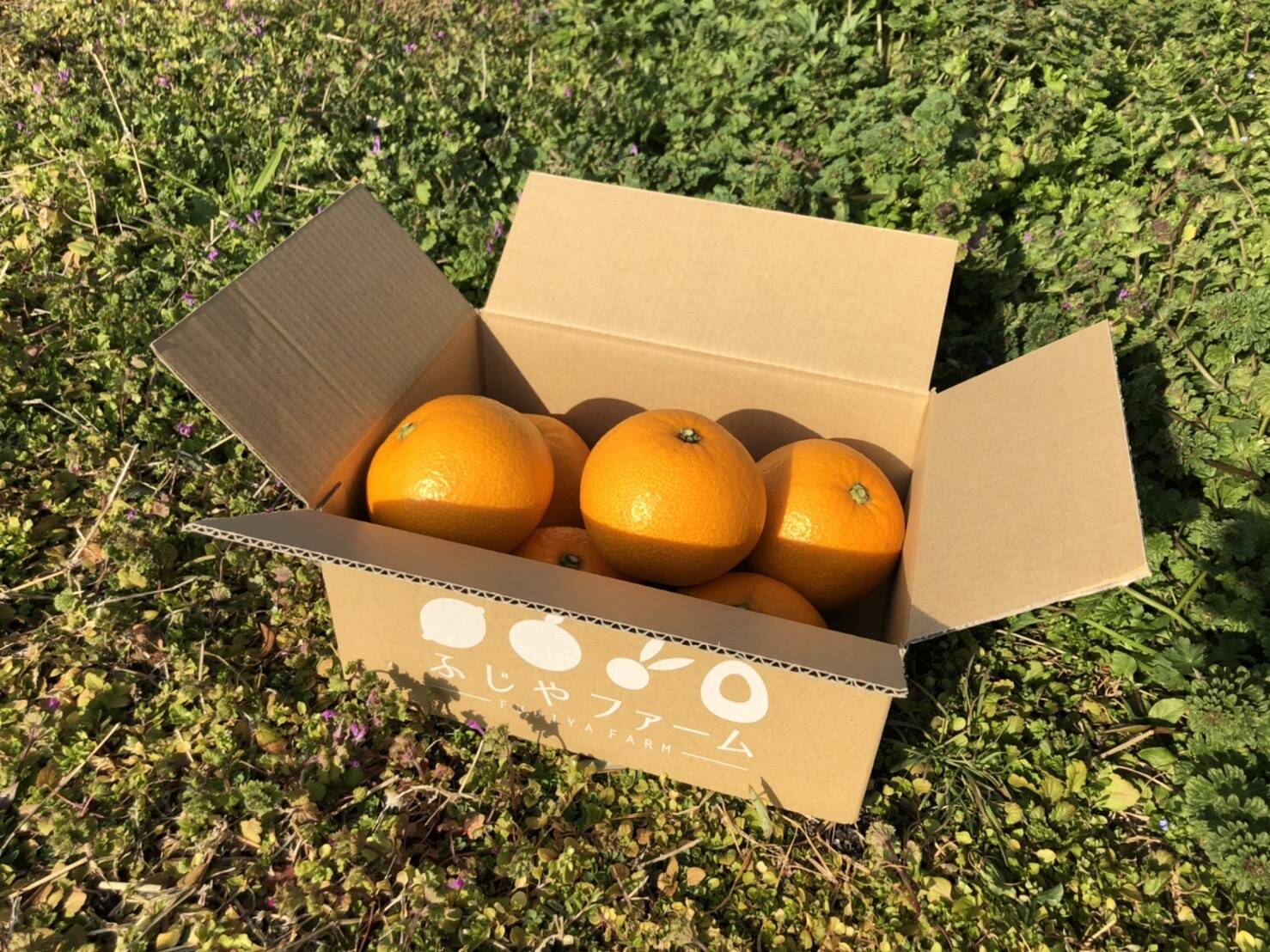 d79ff3b836526fe448d445868c60ba