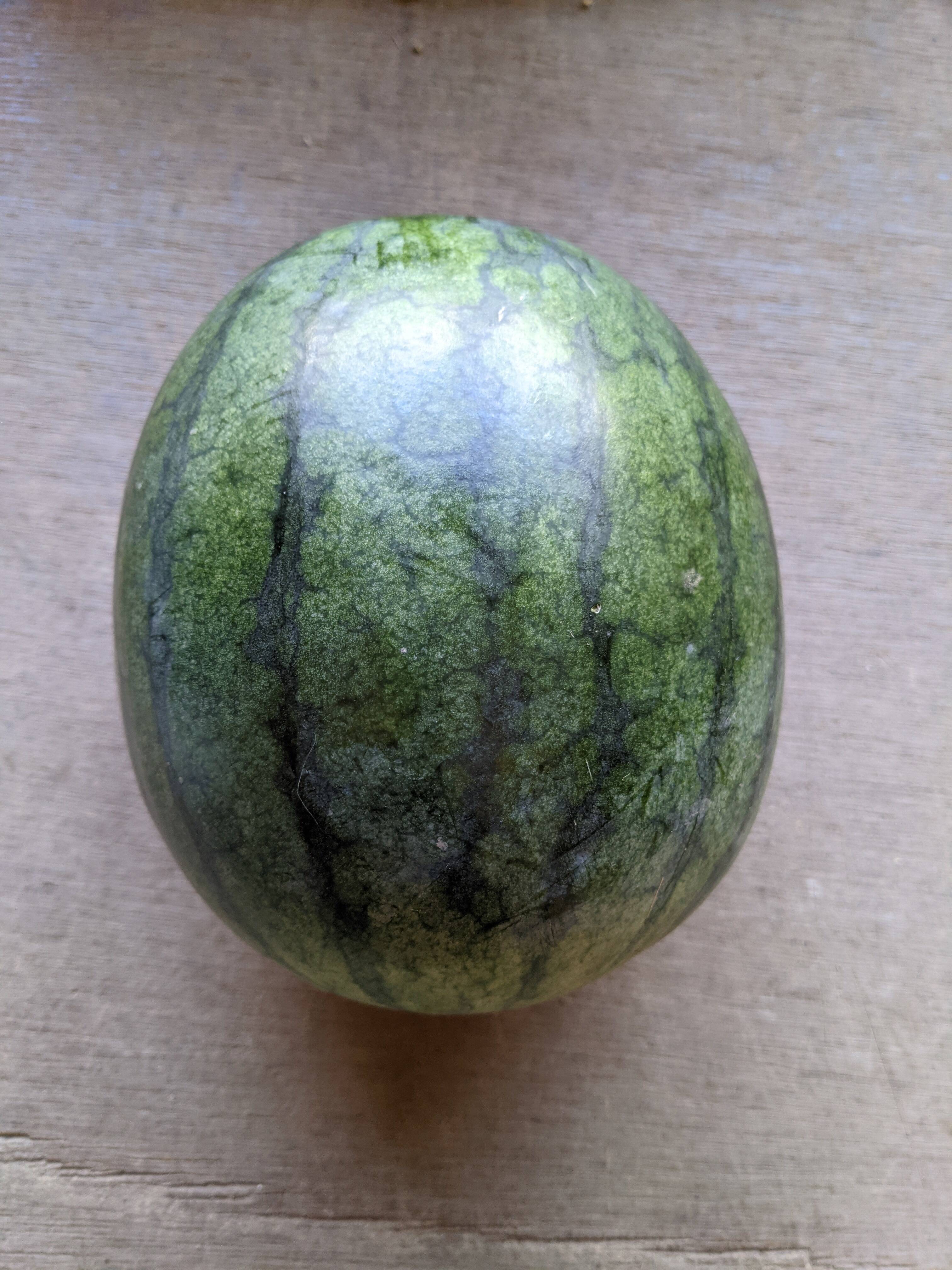 農薬 化学肥料不使用 即日発送可 黒皮小玉スイカ 1玉 三重県産 食べチョク 農家 漁師の産直ネット通販 旬の食材を生産者直送