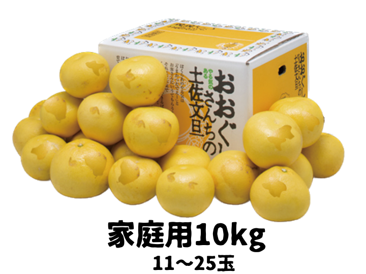 家庭用10kg】濃厚でジューシー！潮風を浴びた高知県育ちの土佐文旦