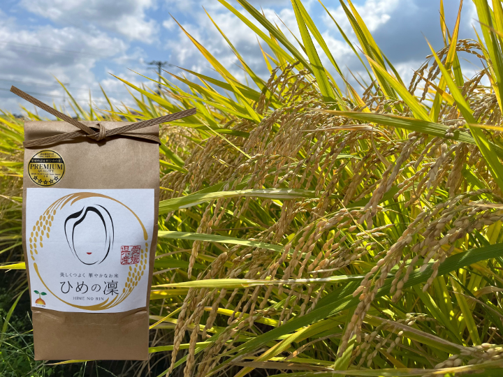 ゆゆ様ご専用 R5年度米愛媛県産ひめの凛 稲架掛け米 10kg 【公式通販】