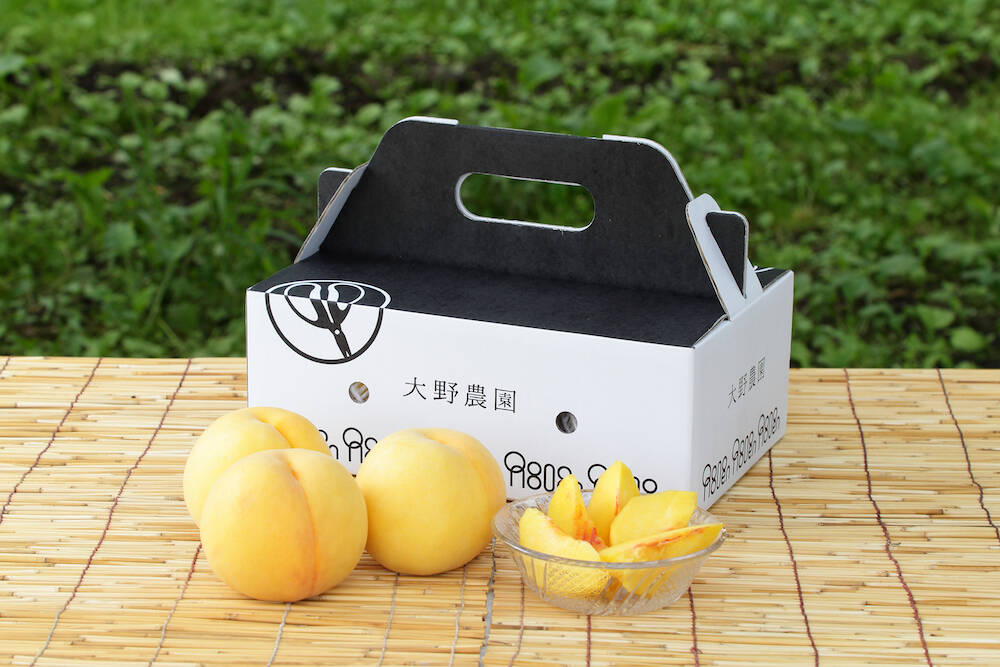 482早勝ち福島産朝採り完熟黄金桃マンゴーピーチ箱 3kg家庭用常温便