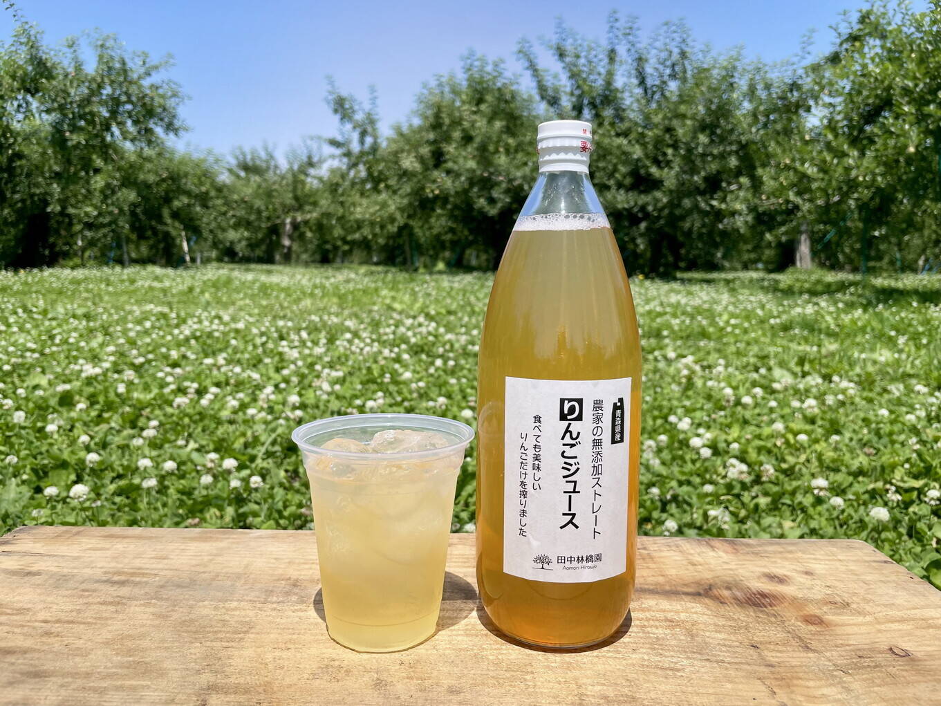 夏限定！甘くてすっぱいりんごジュースセット 1L✕6本：青森県産の