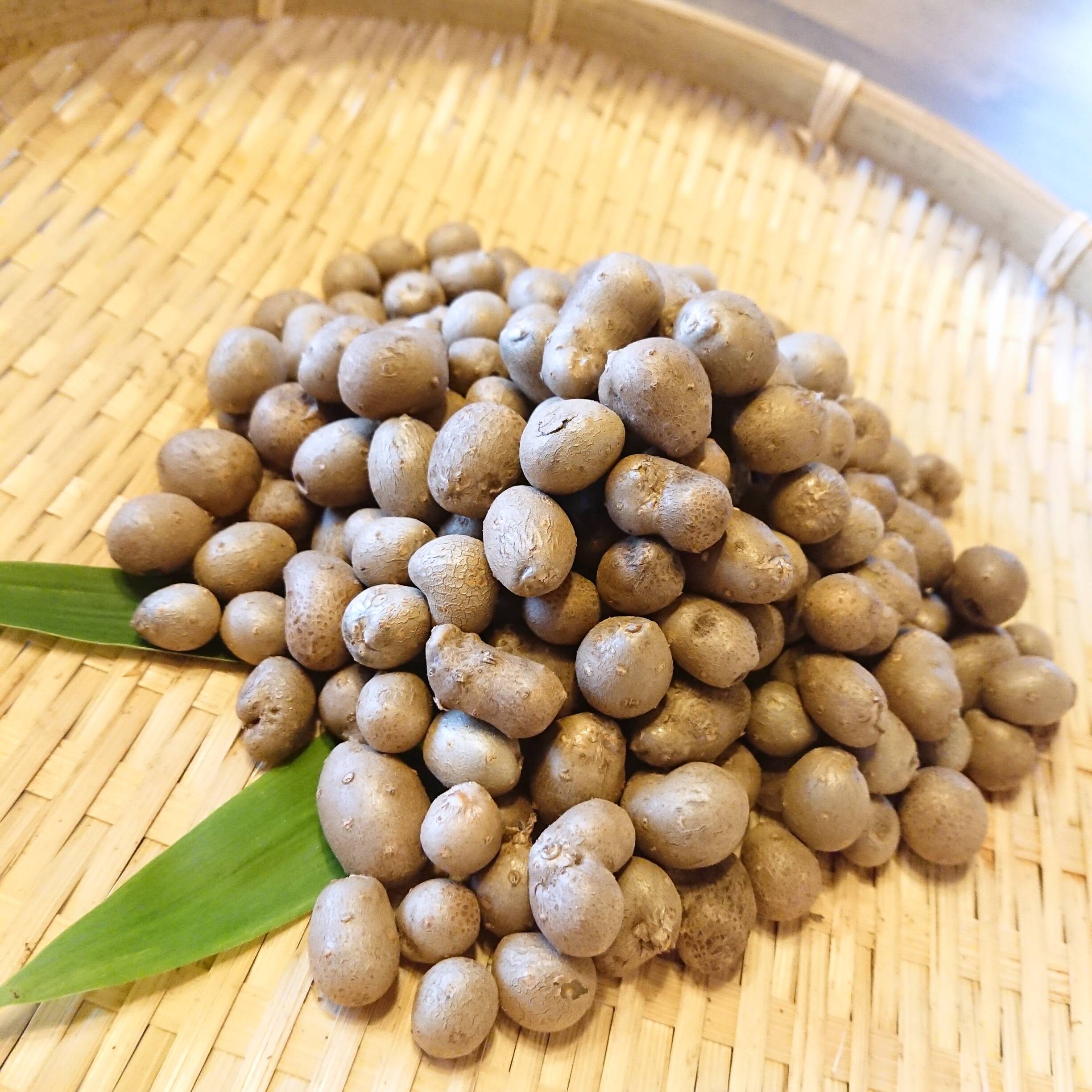 山の幸！ほくほくがたまらない！むかご（約200g）：新潟県産の長芋