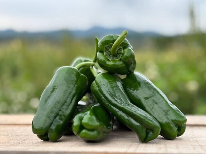 d849262b6be22b8eea12feee01785b