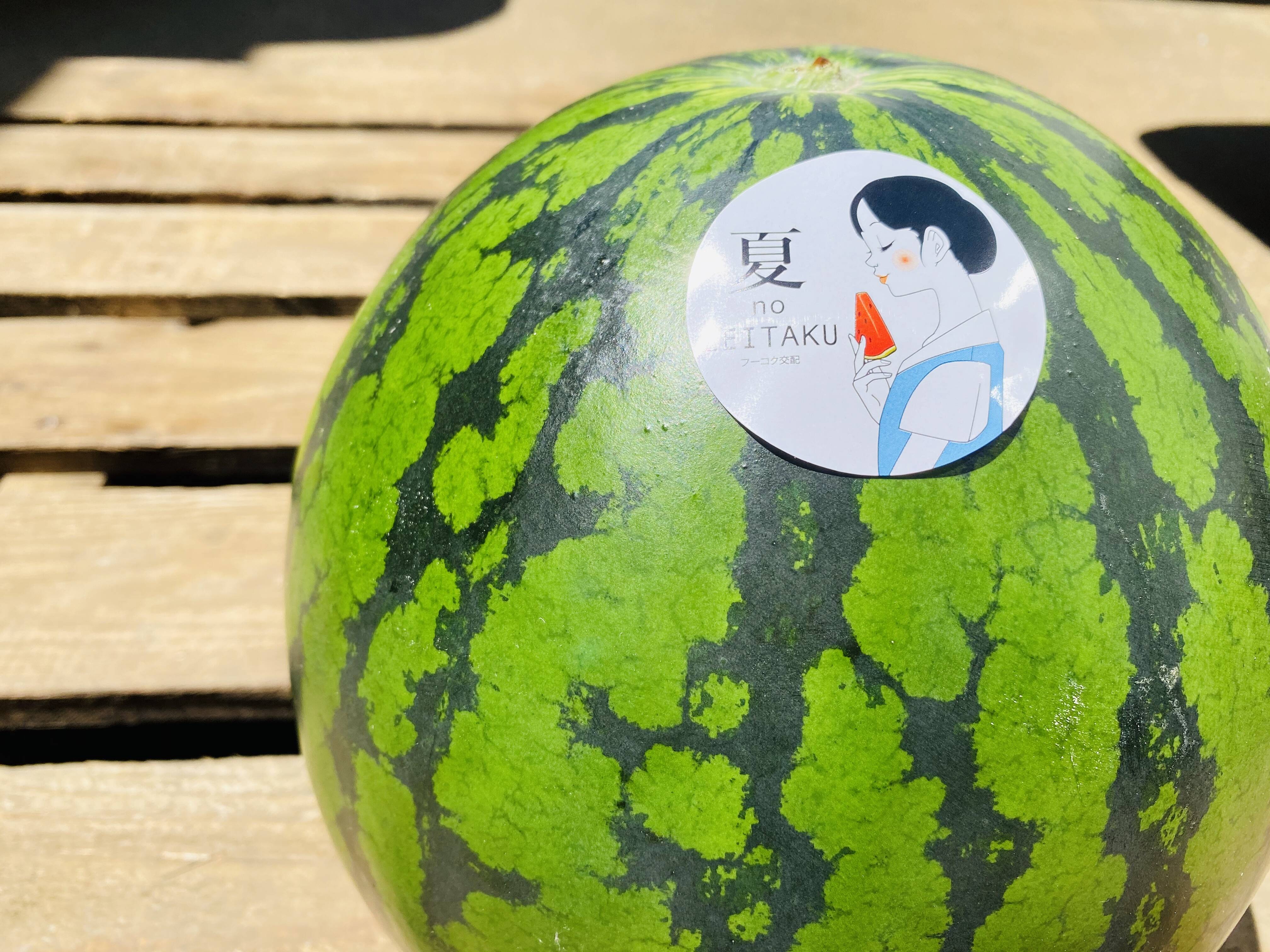 22a W新作送料無料 すいか ７キロ １玉入り 旬の産地 秀品 Www Gaviao Ba Gov Br