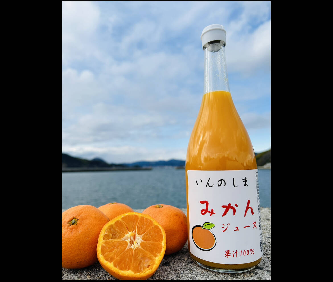 無添加・果汁100%】国産みかんジュース 12本セット：広島県産の