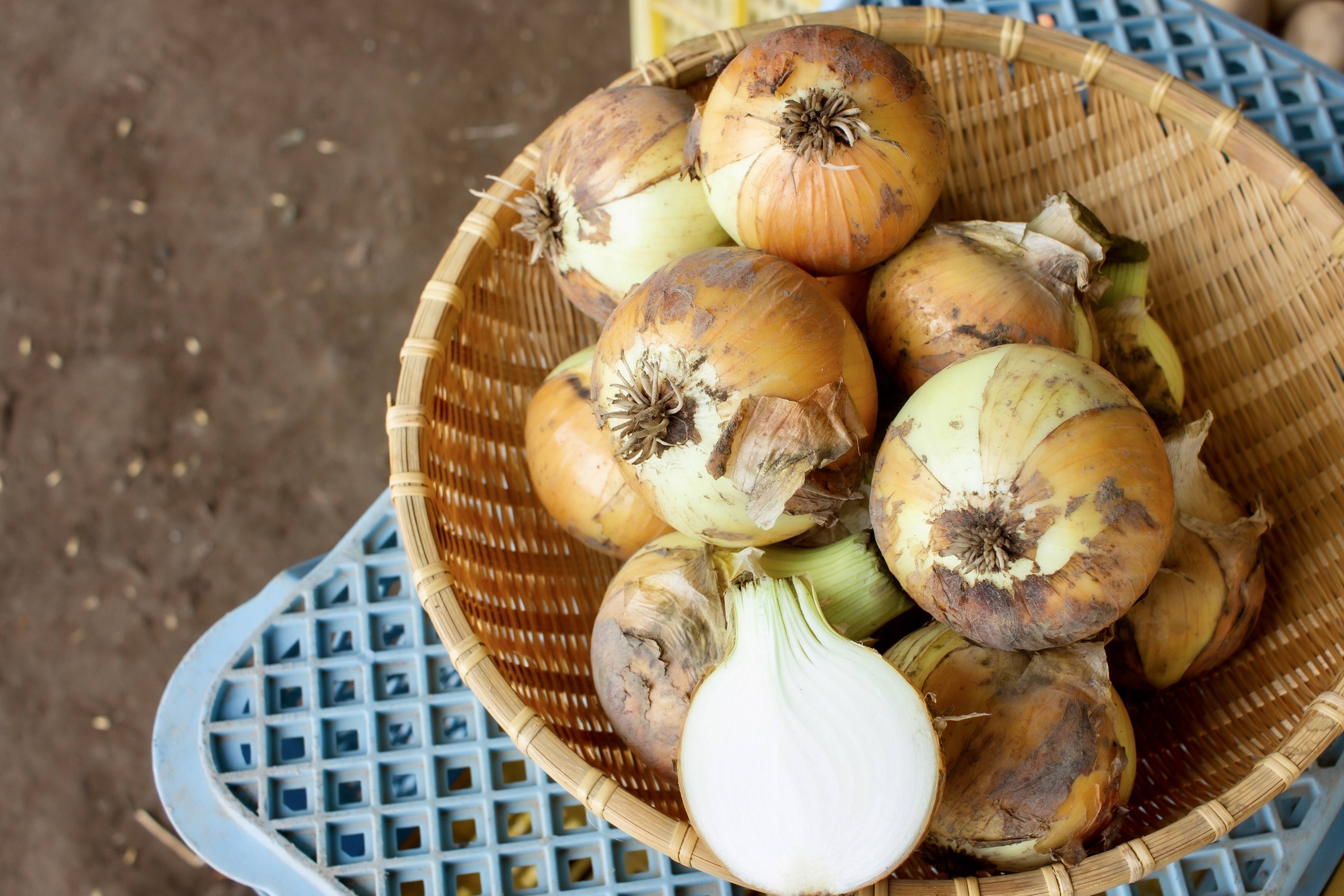 有機JAS認証】北海道産 玉ねぎ・じゃがいもセット（10kg）：北海道産の野菜｜食べチョク｜産地直送(産直)お取り寄せ通販 - 農家・漁師から旬の食材を 直送