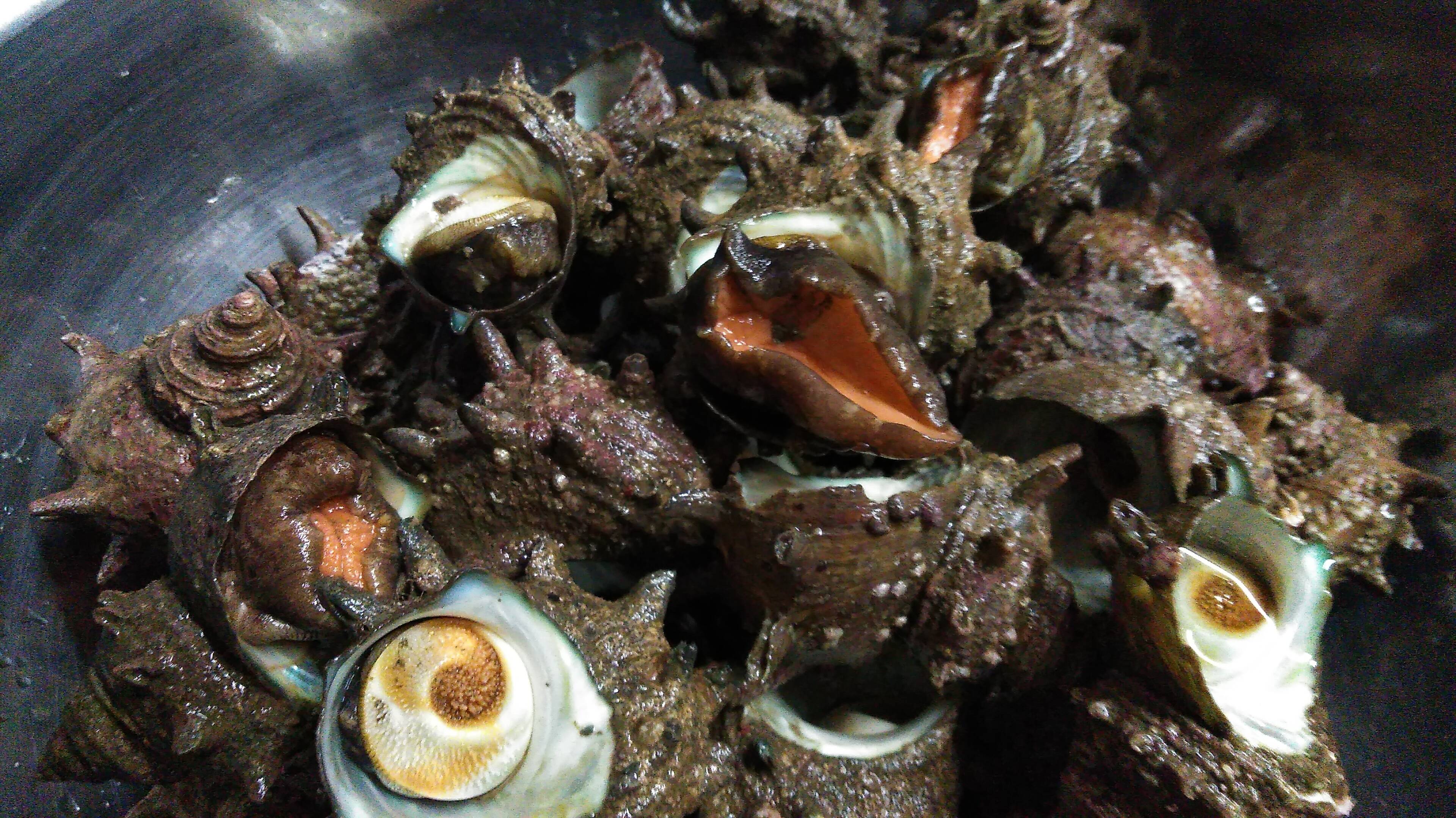 d8950c3d0e946af805e94e64a2a73b