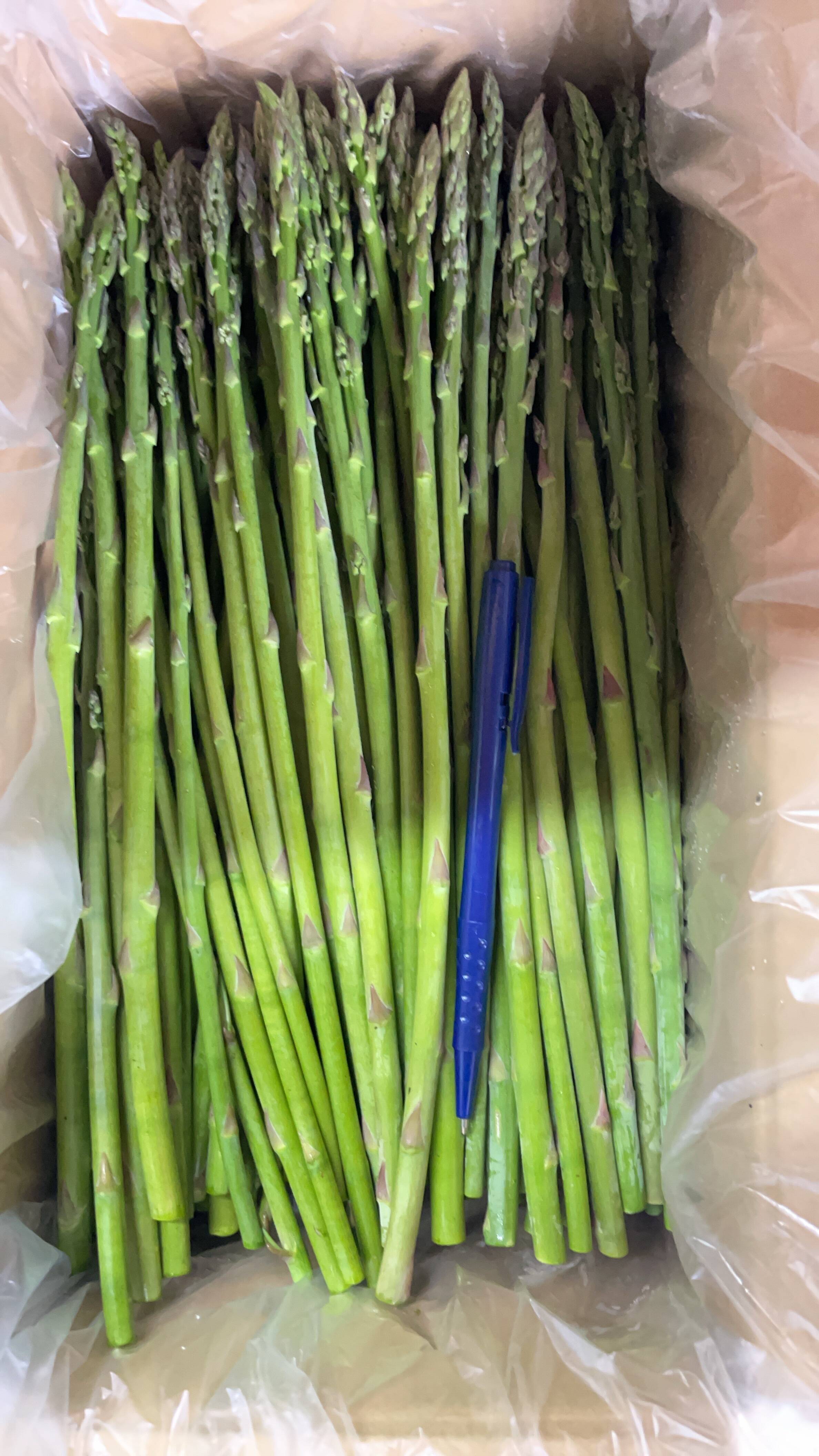 お得感満載【数量限定】鮮度抜群！オーガニック（ボールペン