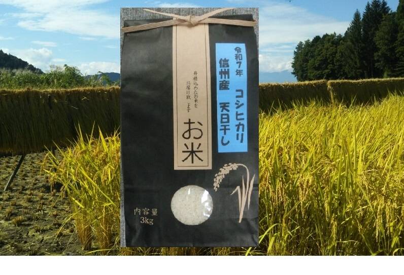 新米専用天日干し 天日干し自然栽培米＜令和7年産旭一号＞兵庫県豊岡市産・稲架かけ