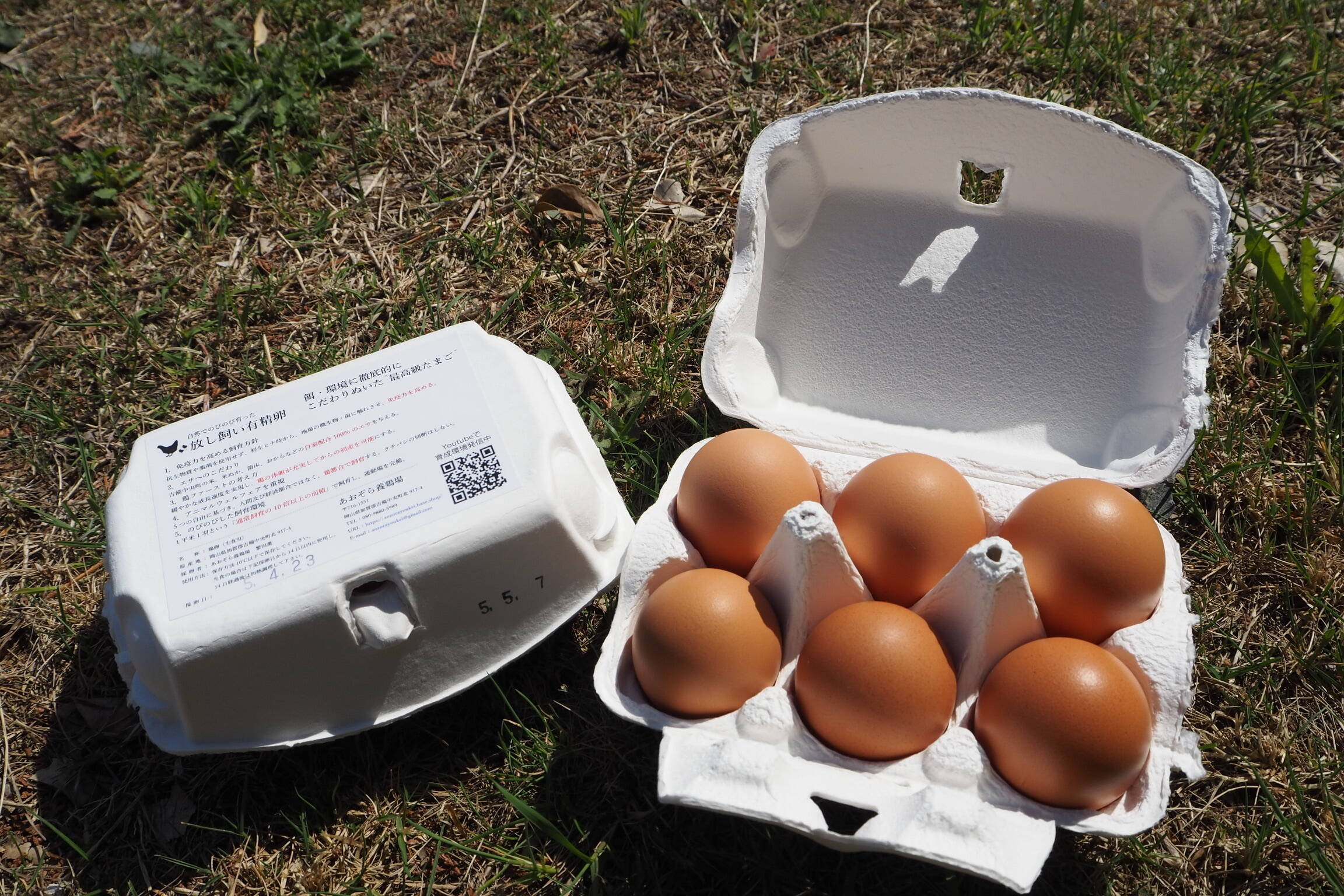 放し飼い有精卵 48個：岡山県産の有精卵｜食べチョク｜産地直送(産直)お取り寄せ通販 - 農家・漁師から旬の食材を直送