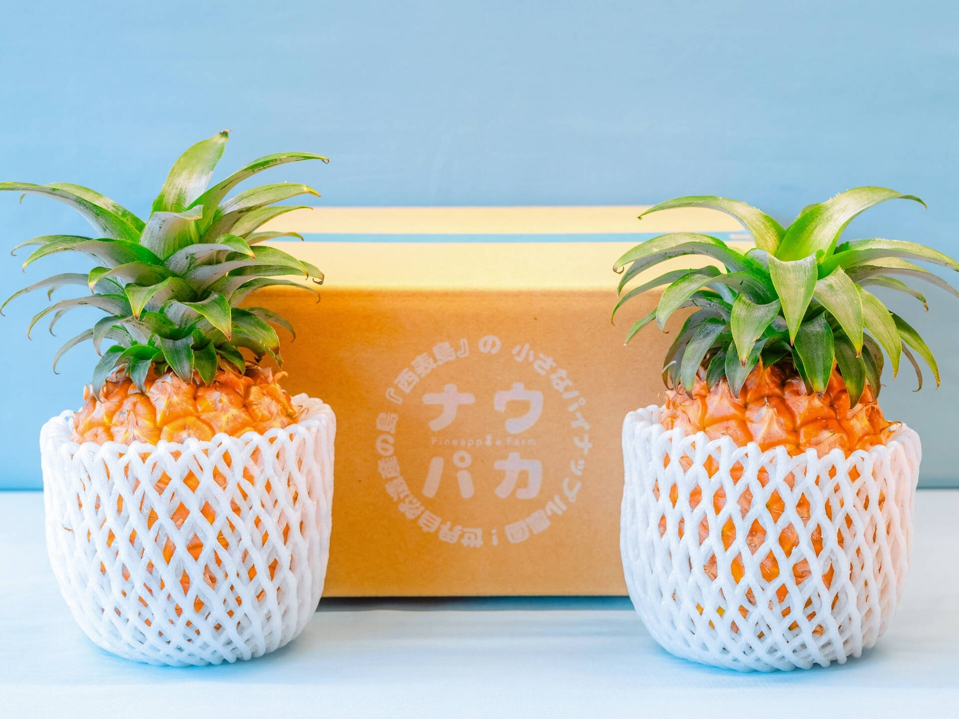 先行予約》『初ピーチの方に大好評!!』✨完熟ピーチパイン約1.2Kg(2〜3