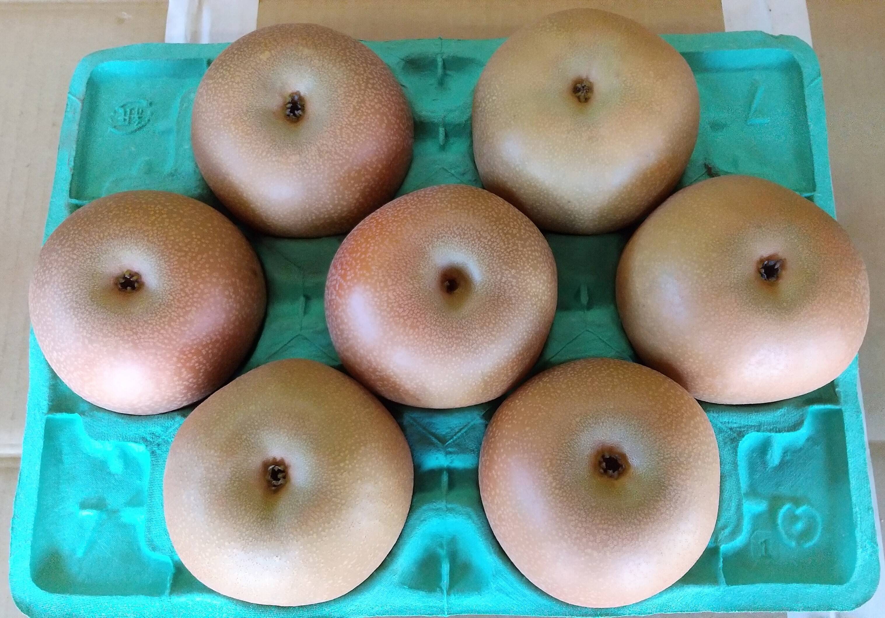 あきづき 3kg 5Lサイズ(7玉入り)：千葉県産のあきづき｜食べ