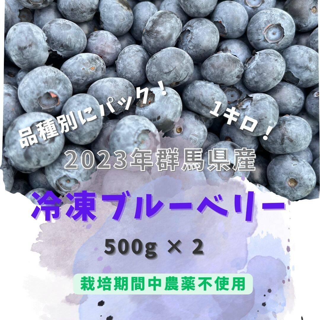 2キロ　冷凍ブルーベリー　群馬県産　果物