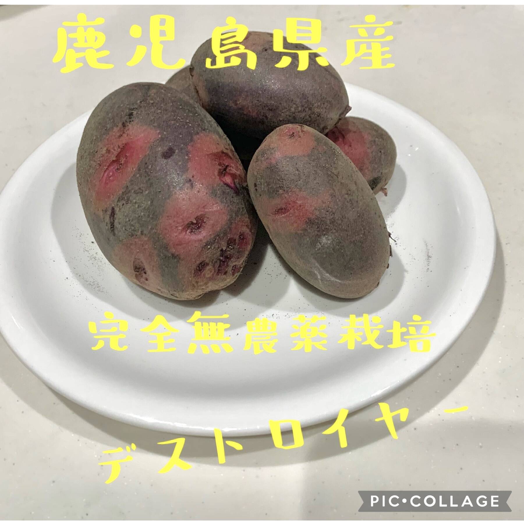ちかっぺ グラウンドペチカ 20キロ Amazon | 北海道産 じゃがいも デストロイヤー(グランドペチカ