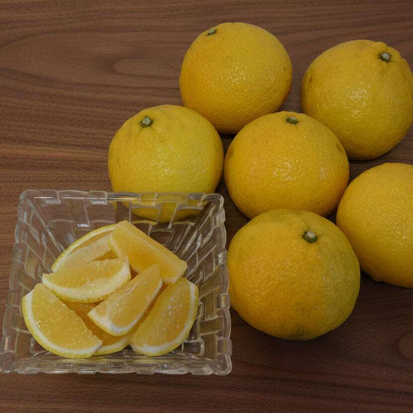 訳あり はるか 5kg M玉中心：広島県産のみかん・柑橘類｜食べチョク