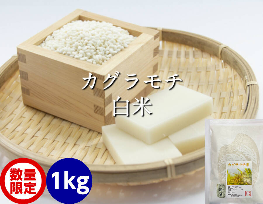 令和5年産 もち米 カグラモチ 餅米 白米 1kg：石川県産のお米｜食べチョク｜産地直送(産直)お取り寄せ通販 - 農家・漁師から旬の食材を直送